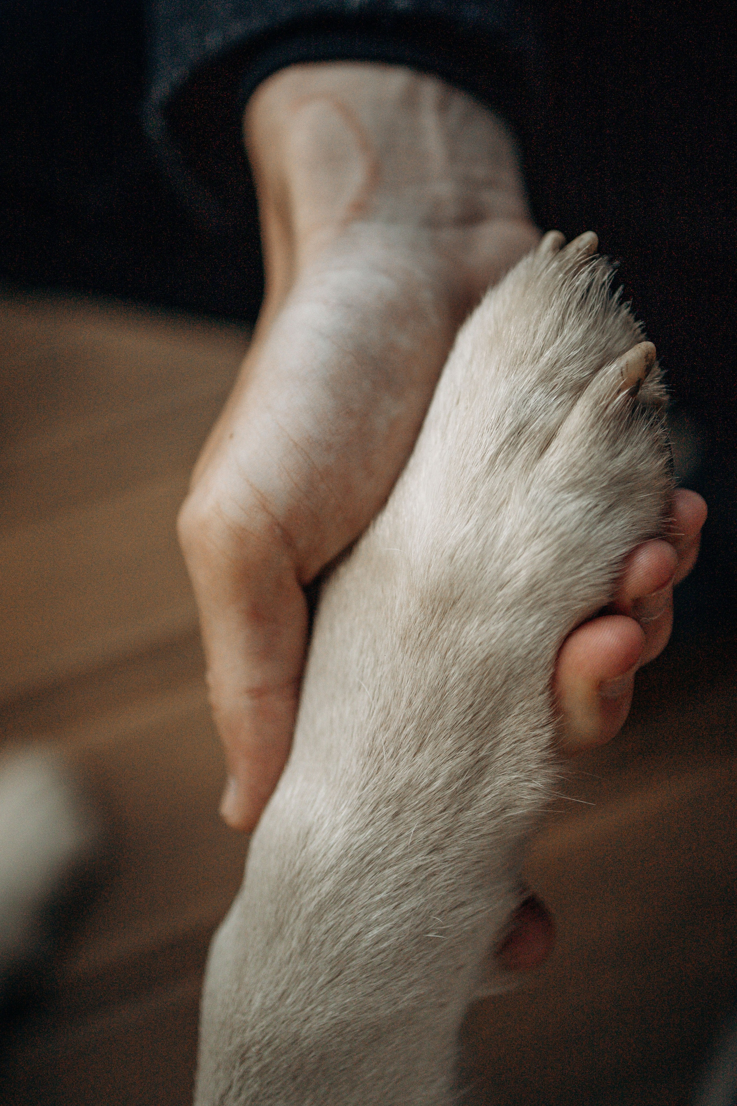 Феня и его семья