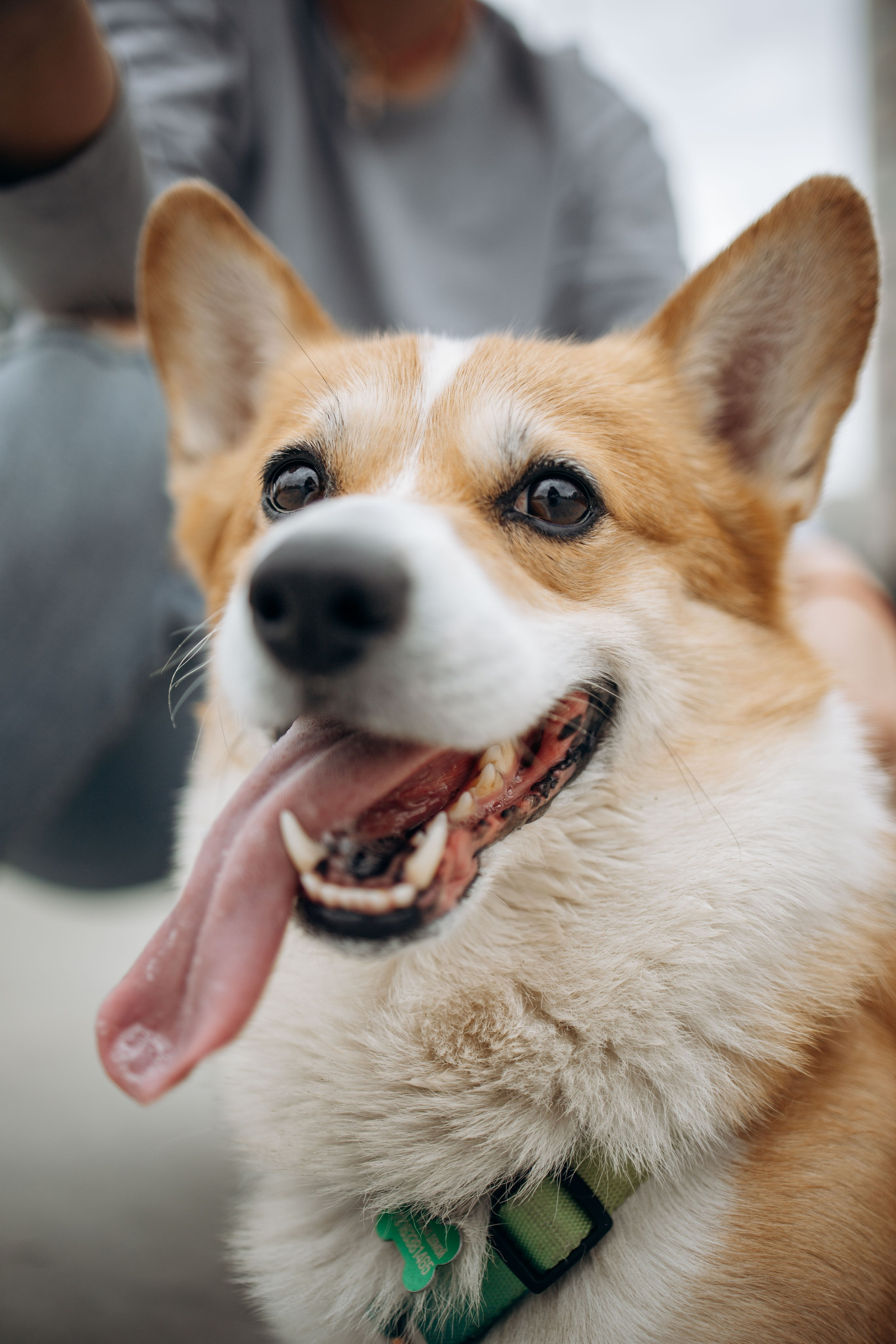 Екатерина и Альфи