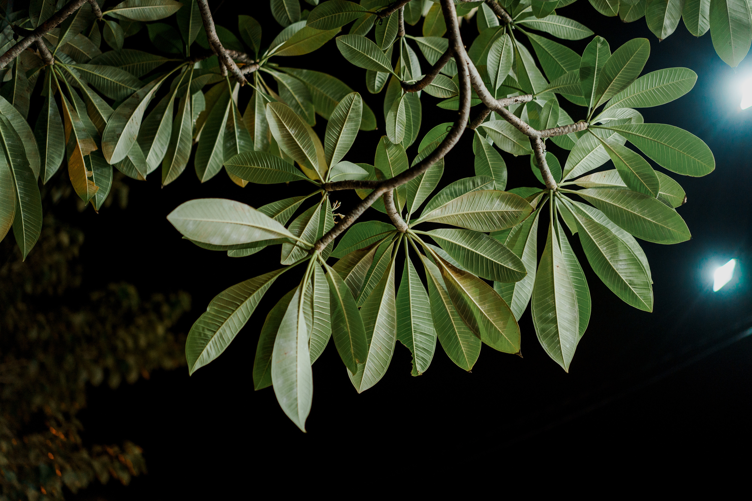 Nha Trang street`s. Phu Quoc Photographer — Phu Quoc wedding Photograper