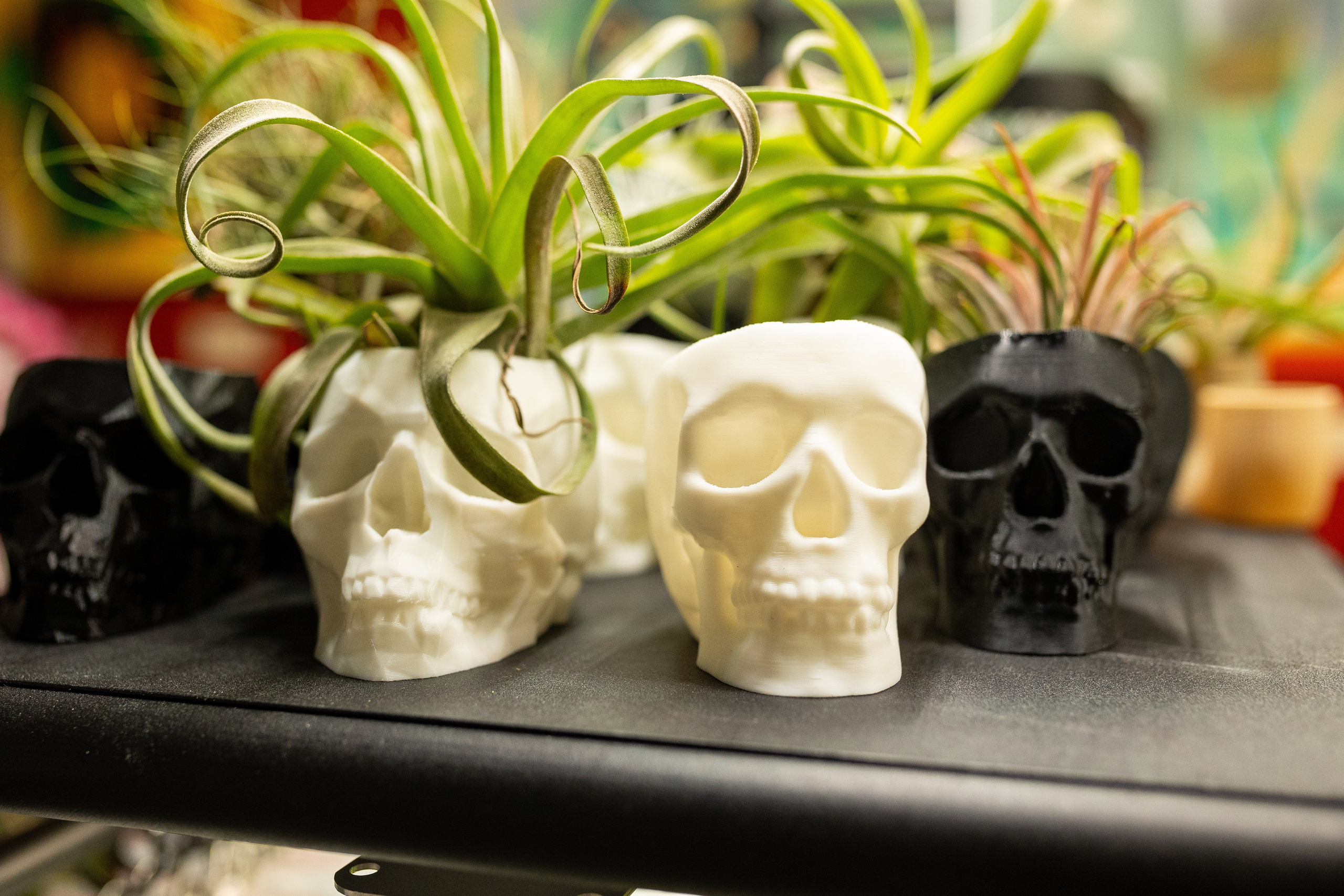 Growbox декабрь 2025. Александра Куликова фотограф, Москва