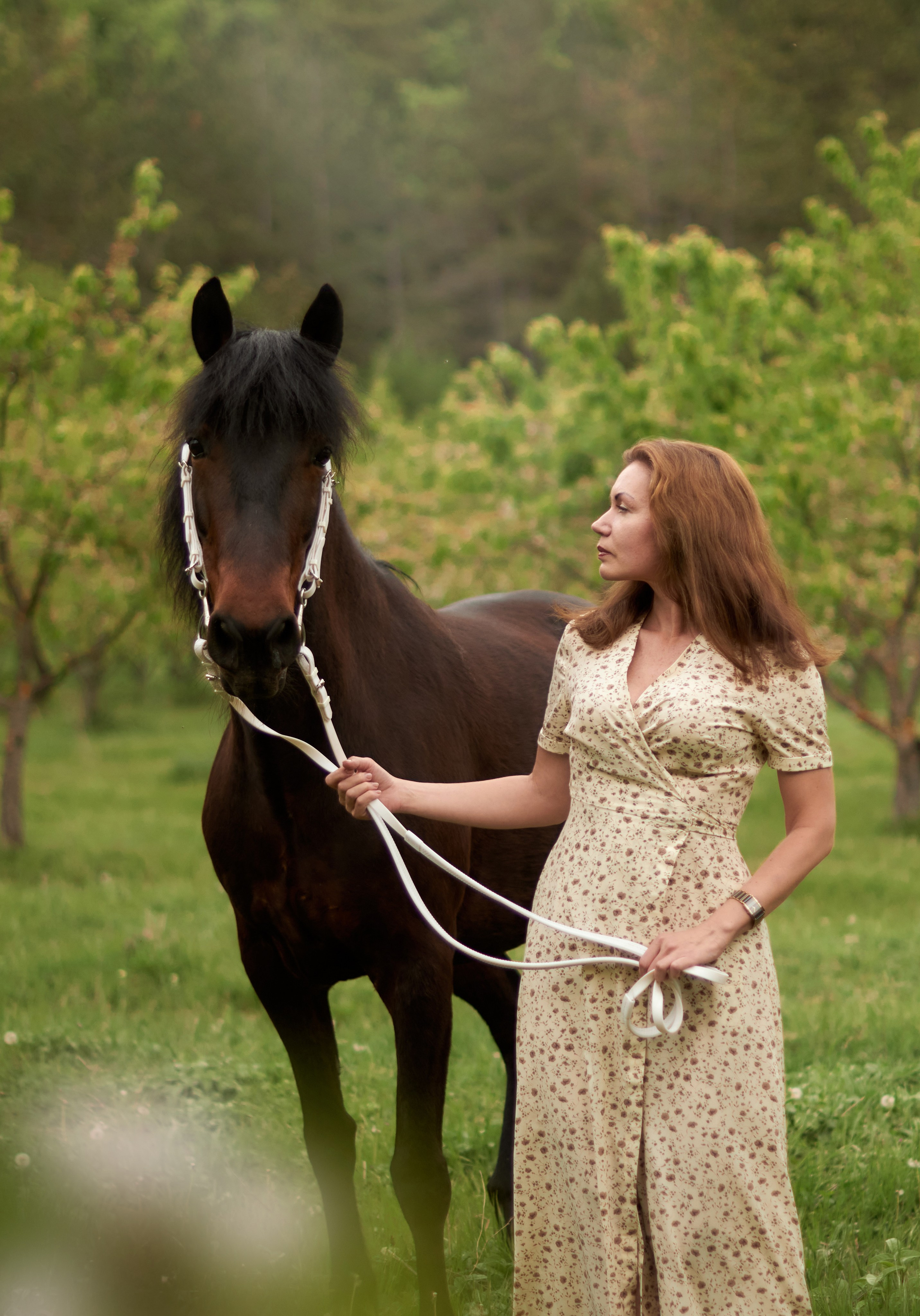 Фотосессия с лошадью Севастополь. Фотограф в Севастополе