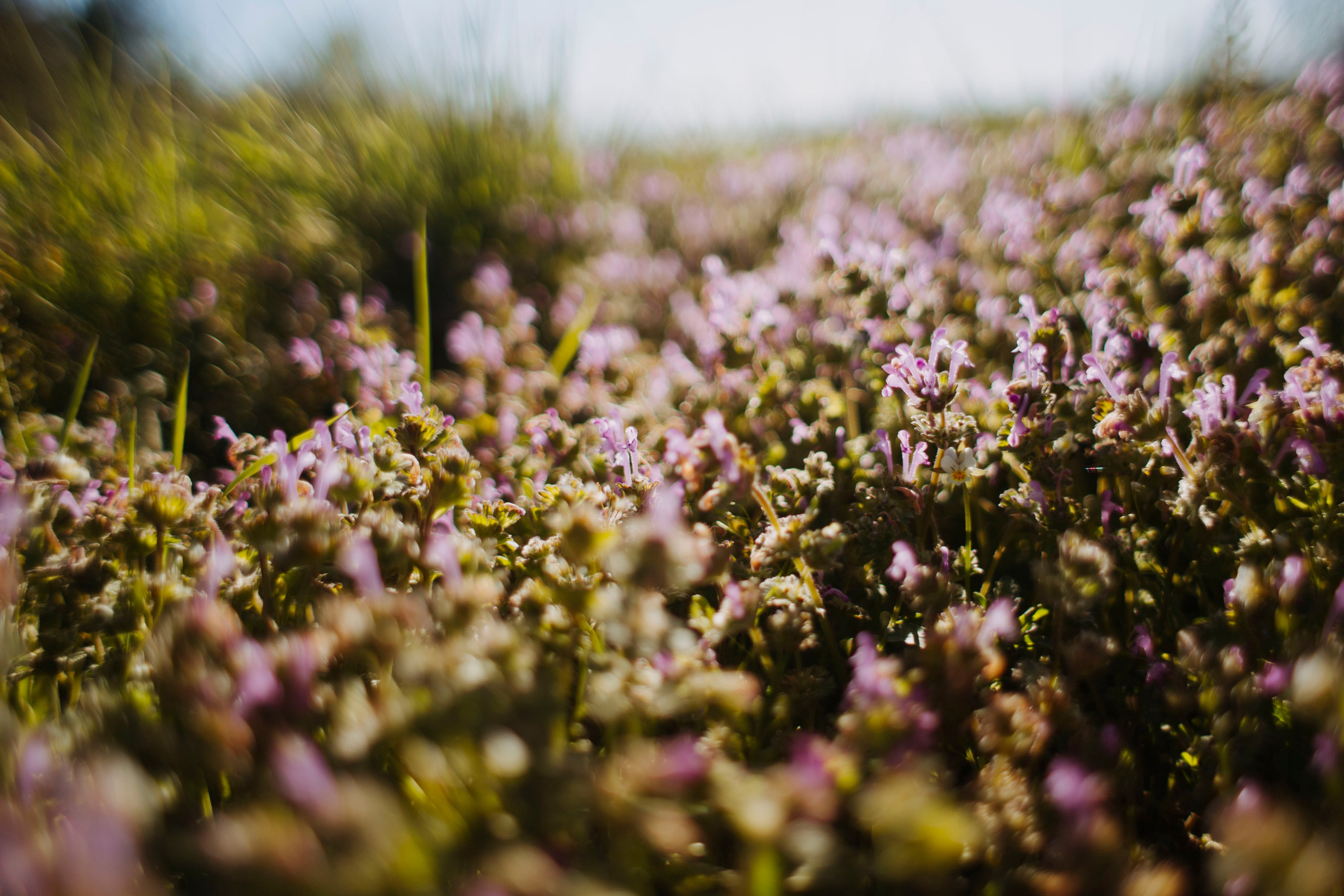 МореНебоОблака. Ваш портретный фотограф в Москве Катя Прокофьева