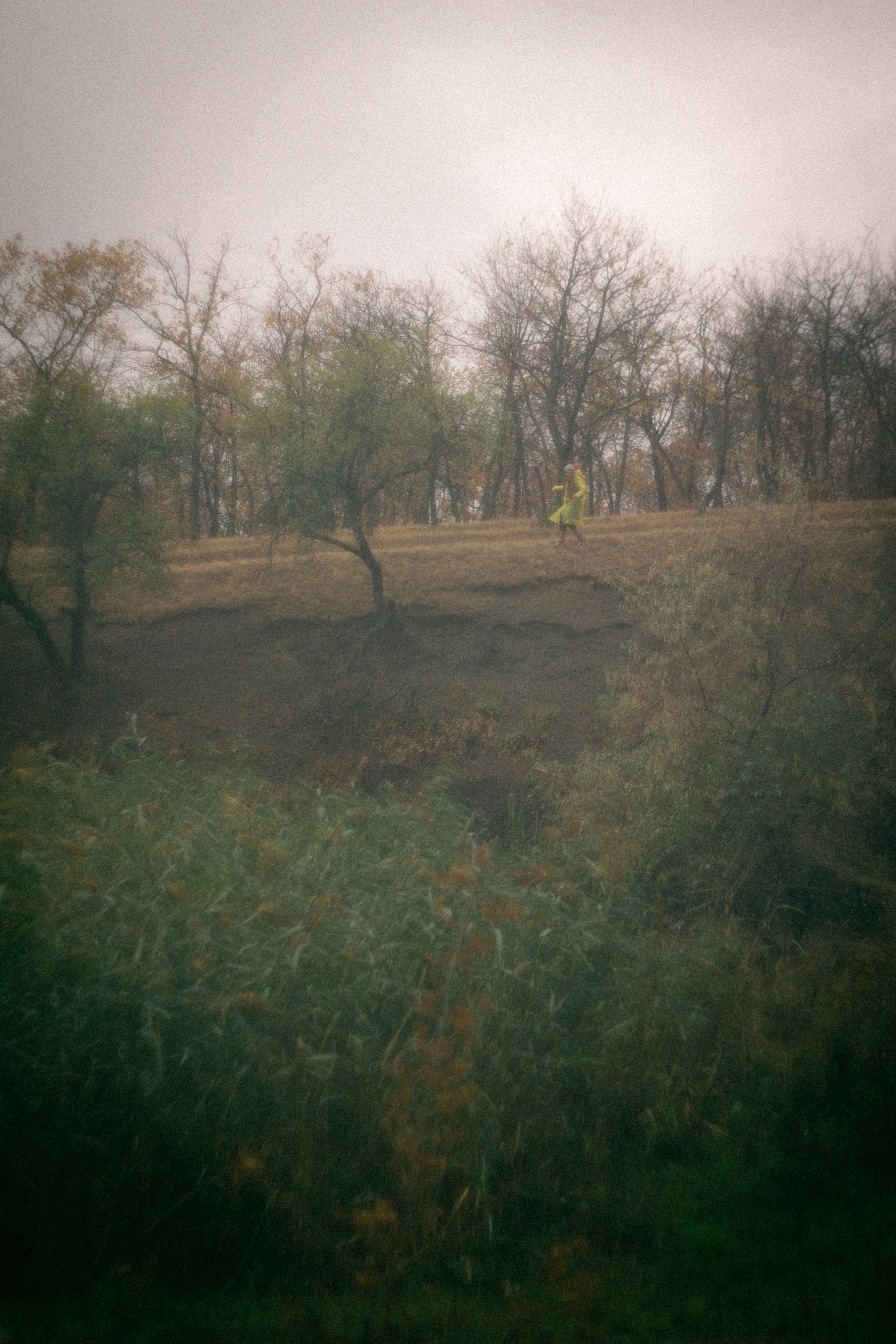 Туманная осень. • Фотограф Александра Светозар Алчевск •