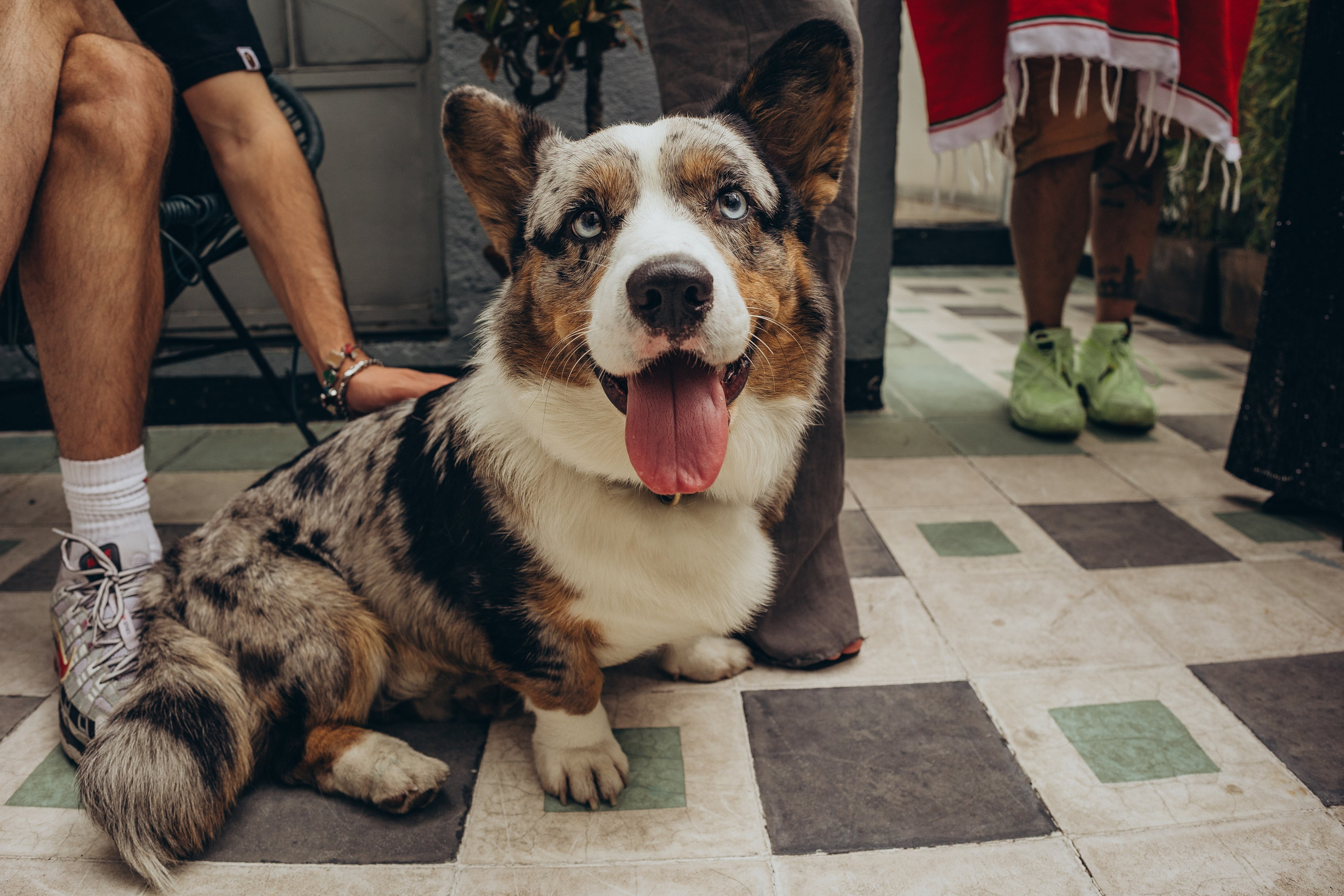 Office inauguration in Mexico City BetBoom. Irina Krokhaleva. Family & couple photographer in Yekaterinburg, Russia