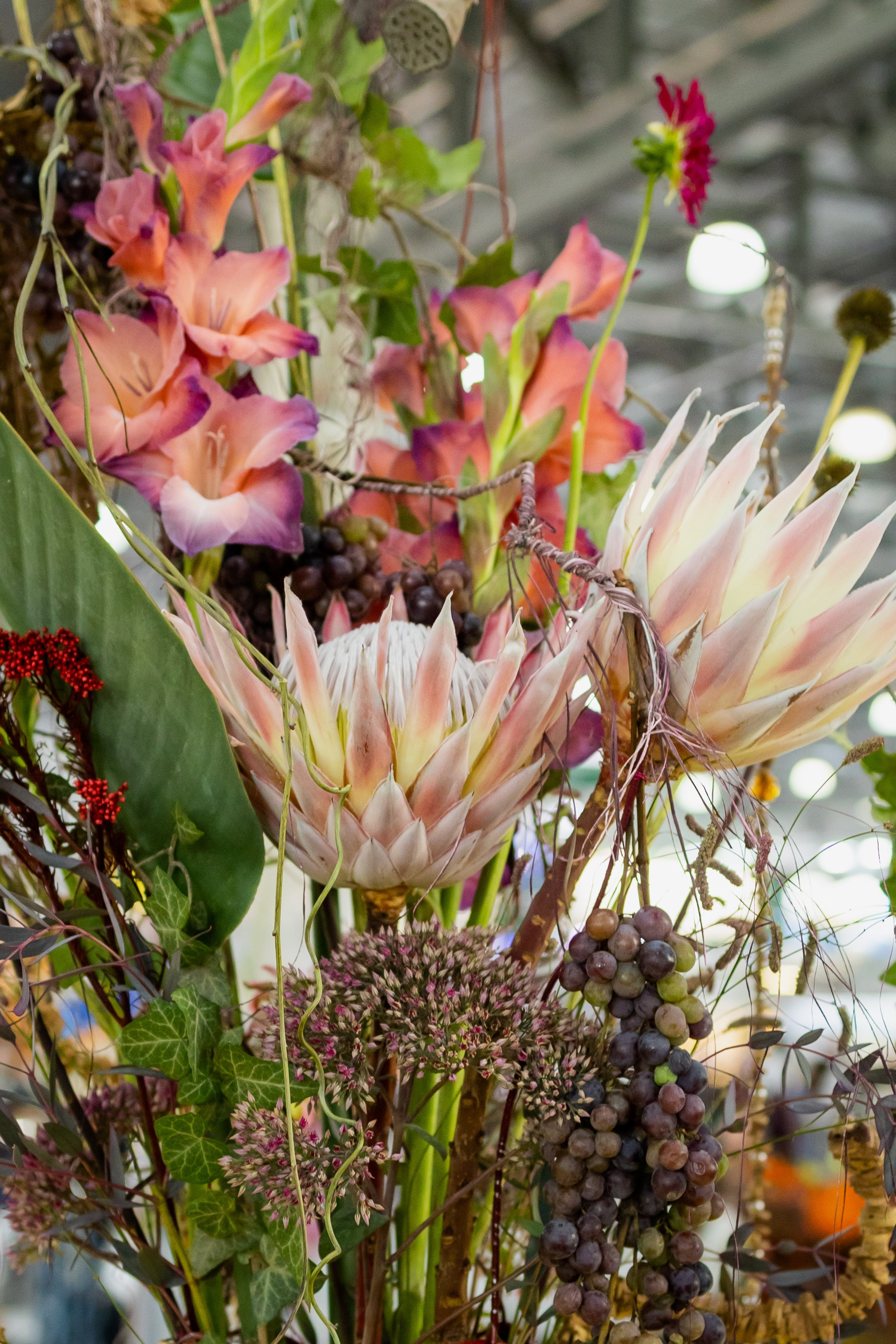 Цветы-Экспо 2025. Фотосессии и репортаж — Фотограф в Москве — Рина Серёгина