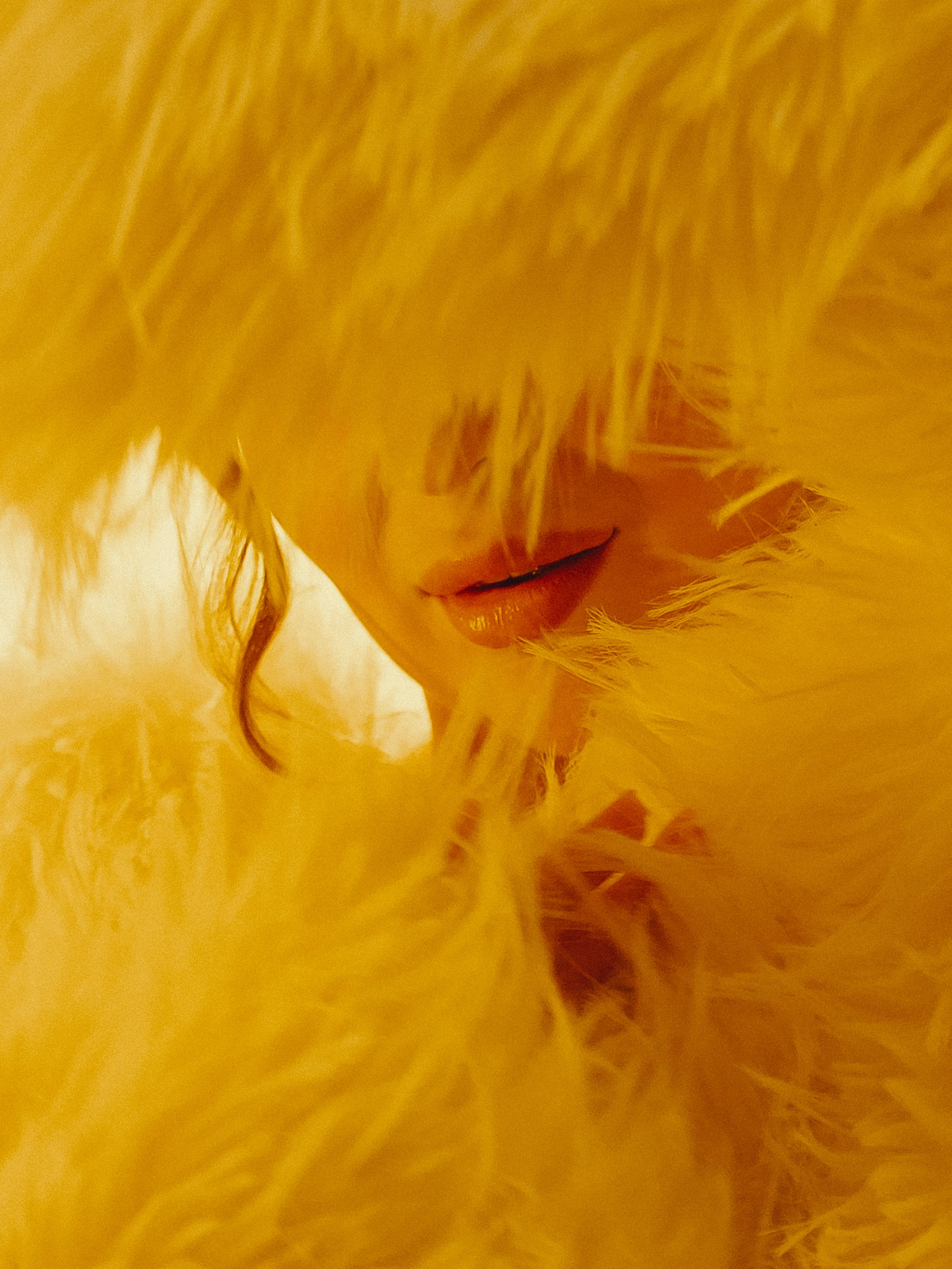 Wedding day Семен & Анастасия. Свадебный фотограф Колесников Антон