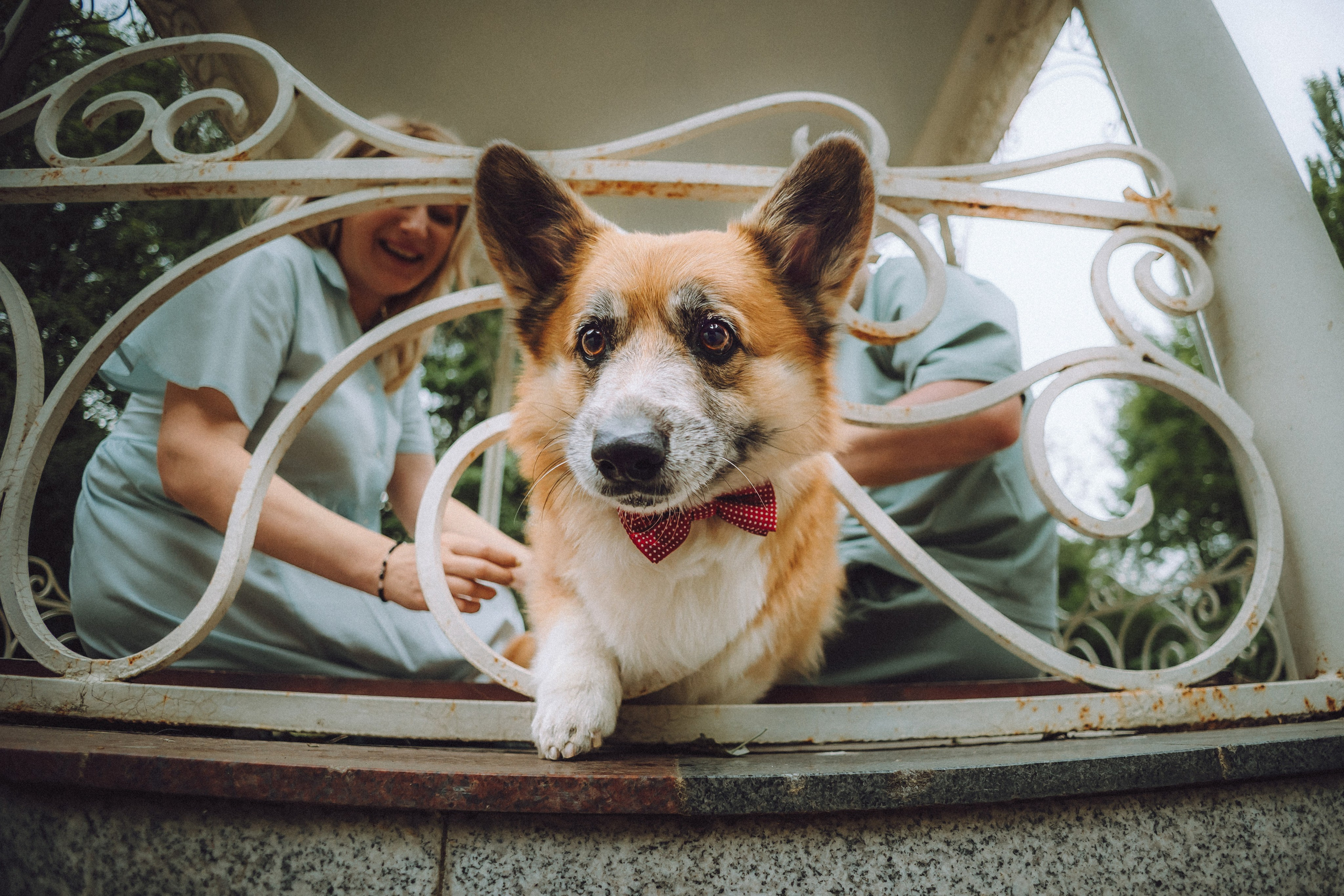 Ира, Леша и Харли