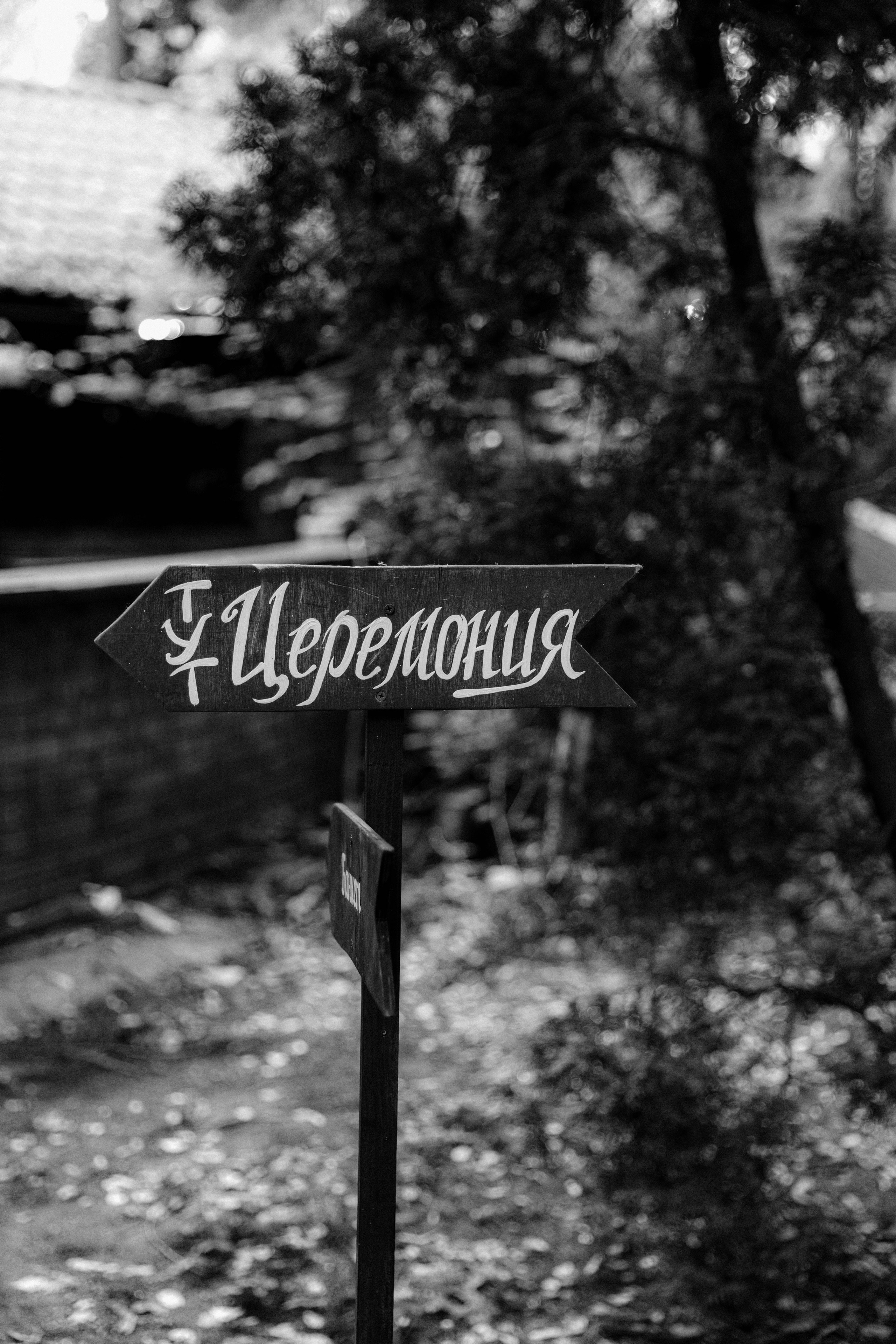 Валерия и Александр. Полный день свадьбы. Свадебный и семейный фотограф Москва