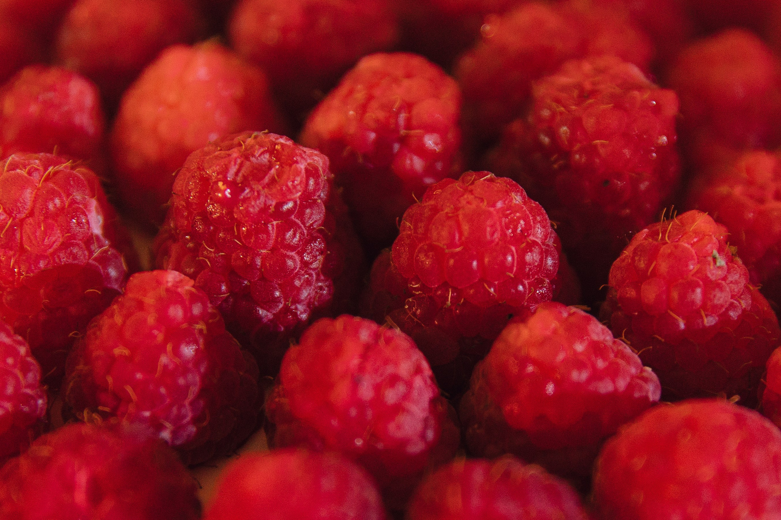 Никита и Анастасия. Фотограф — Погодина Екатерина