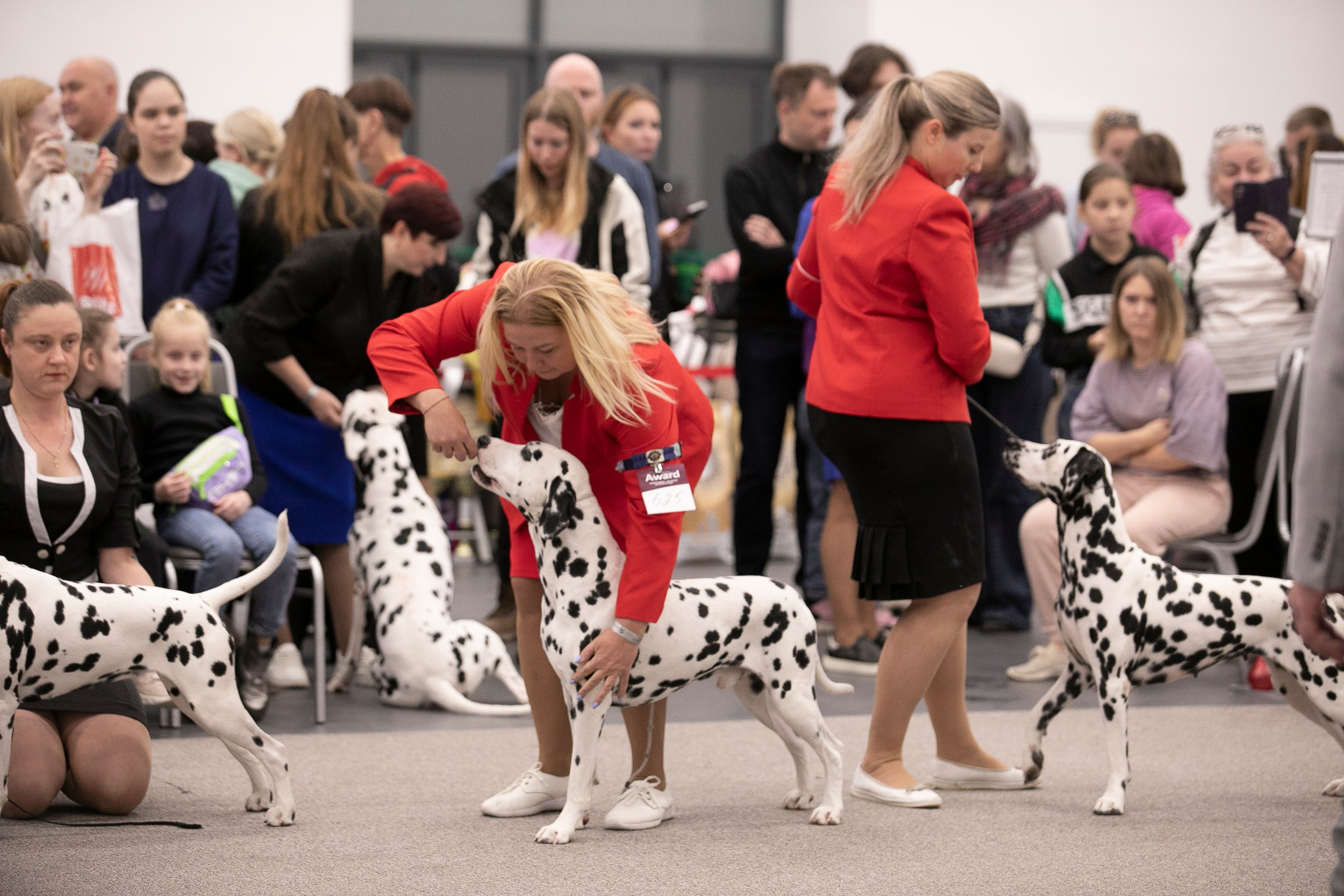 Авторские пресеты для обработки фото. Фотограф — видеограф Алиса Дружинина