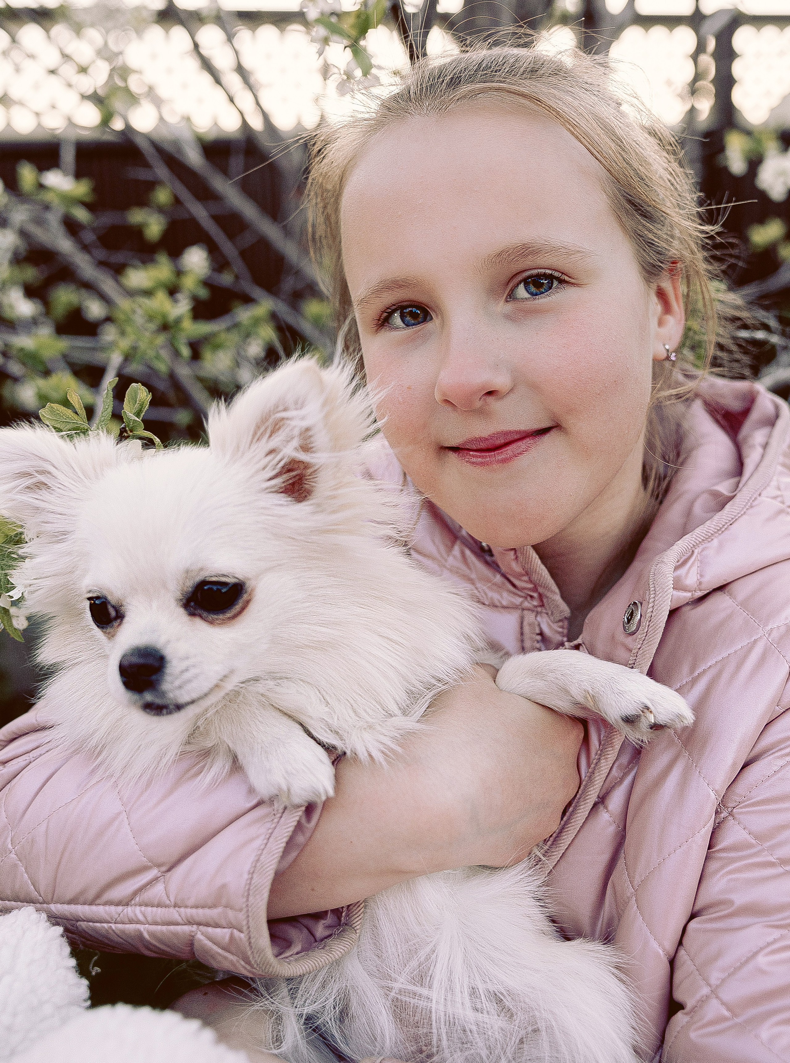 Фотосессия питомцев. Фотограф в Казани Ольга Яшина