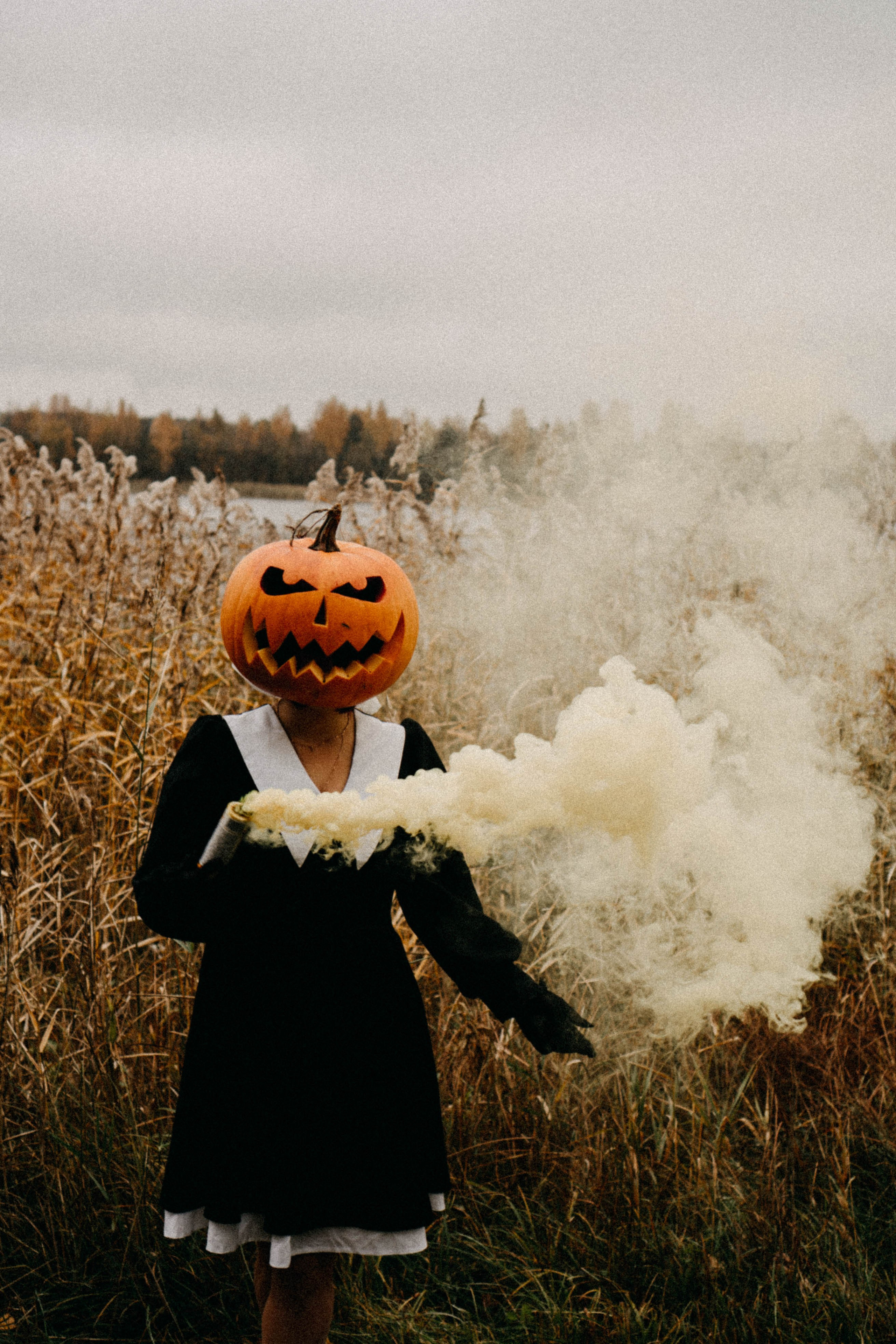Осеняя. Профессиональный фотограф, Санкт-Петербург — Виктория Богомолова