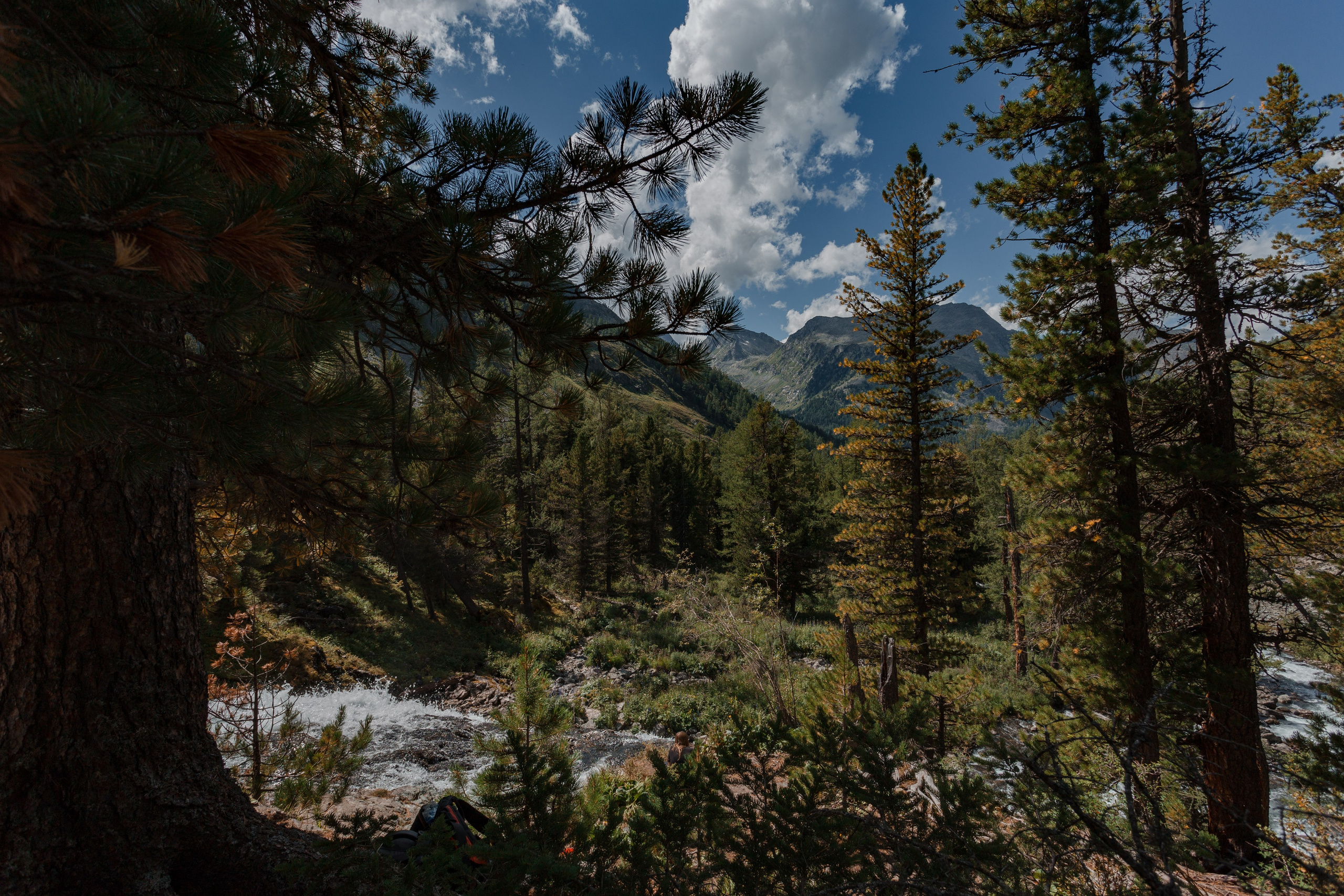 Катунский заповедник, Республика Алтай. Репортажный фотограф в Крыму Ксения Гасица