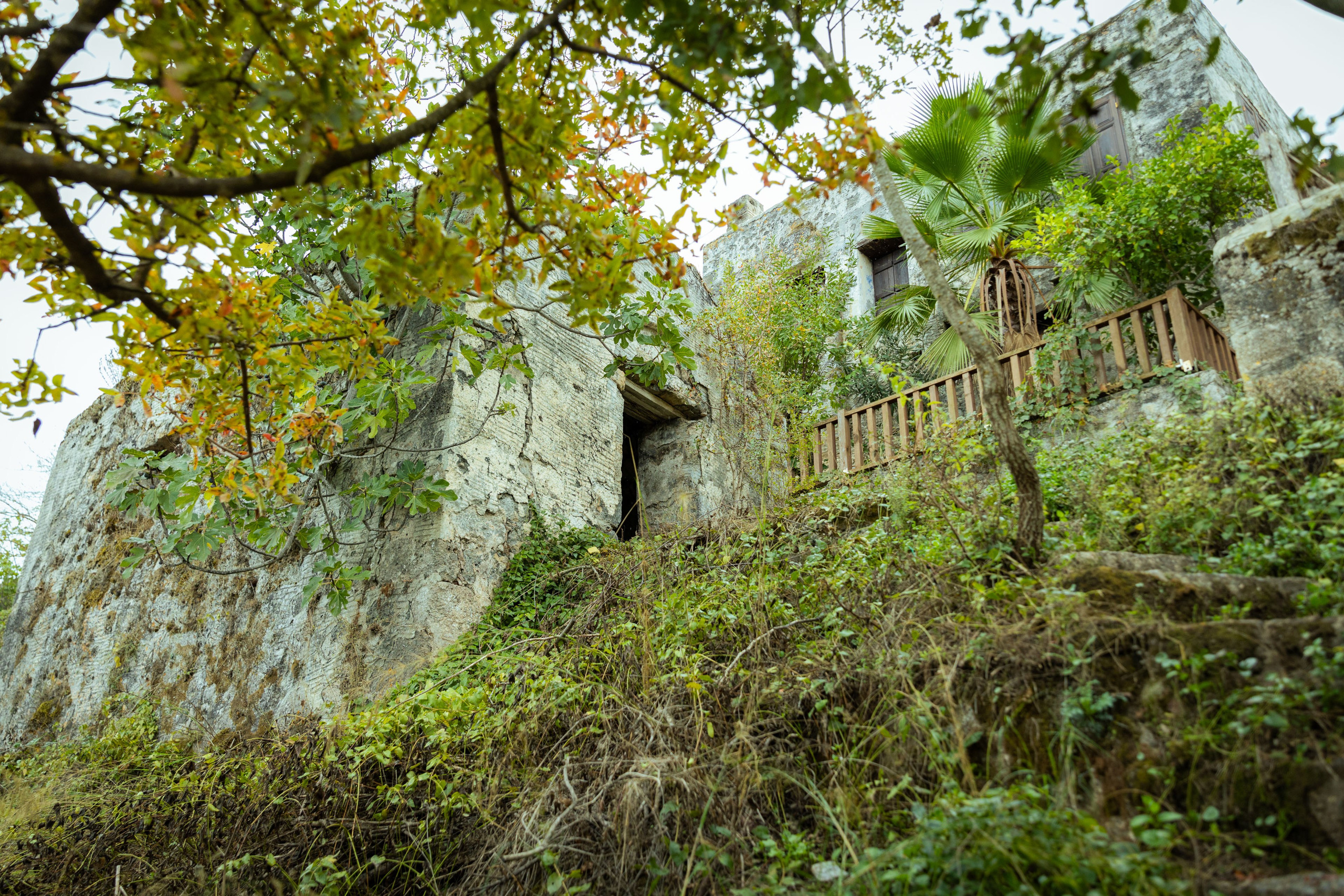 Турция (осень 2023). Фотограф Виноградов Константин