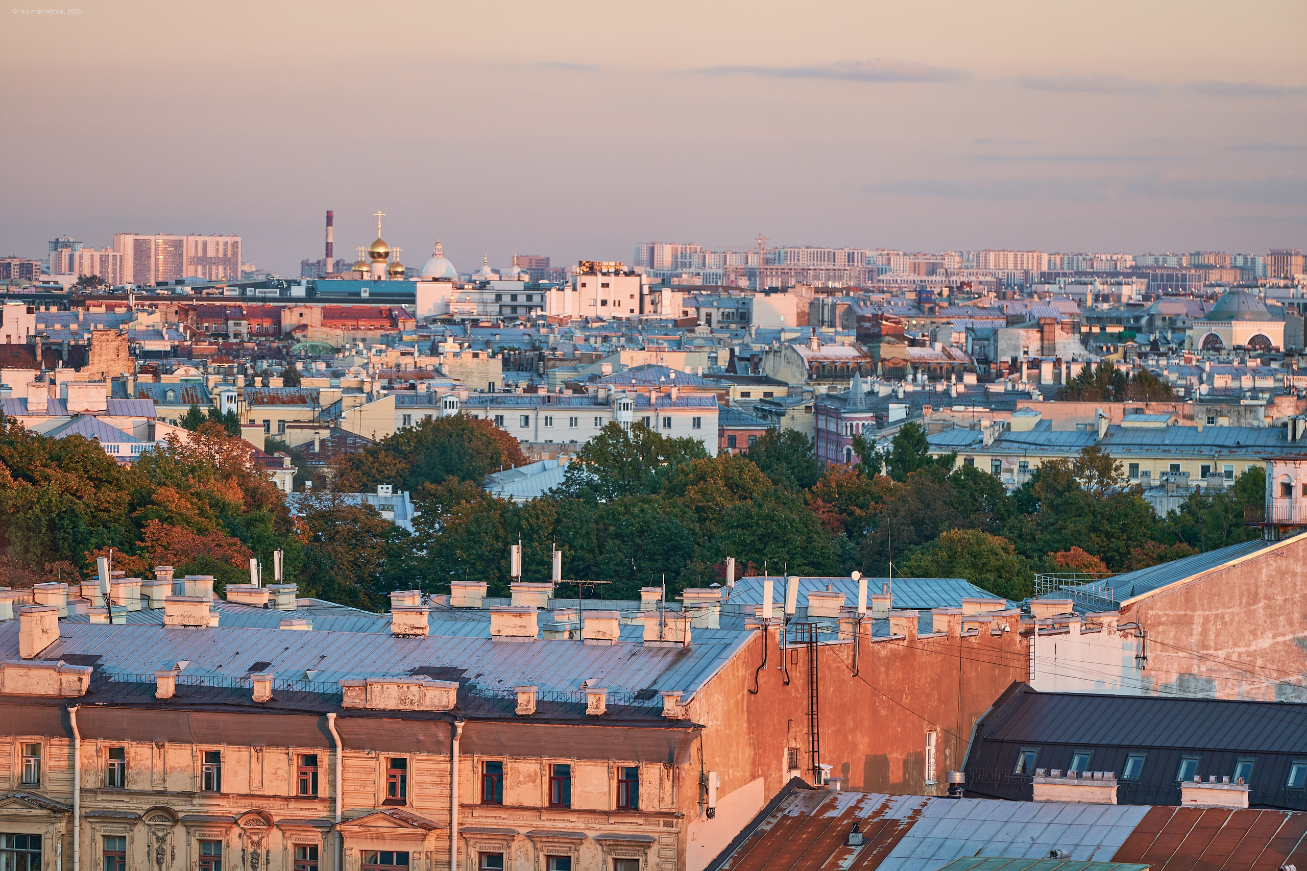 The view from the observation deck of the City Duma Tower | St. Petersburg. Фотограф