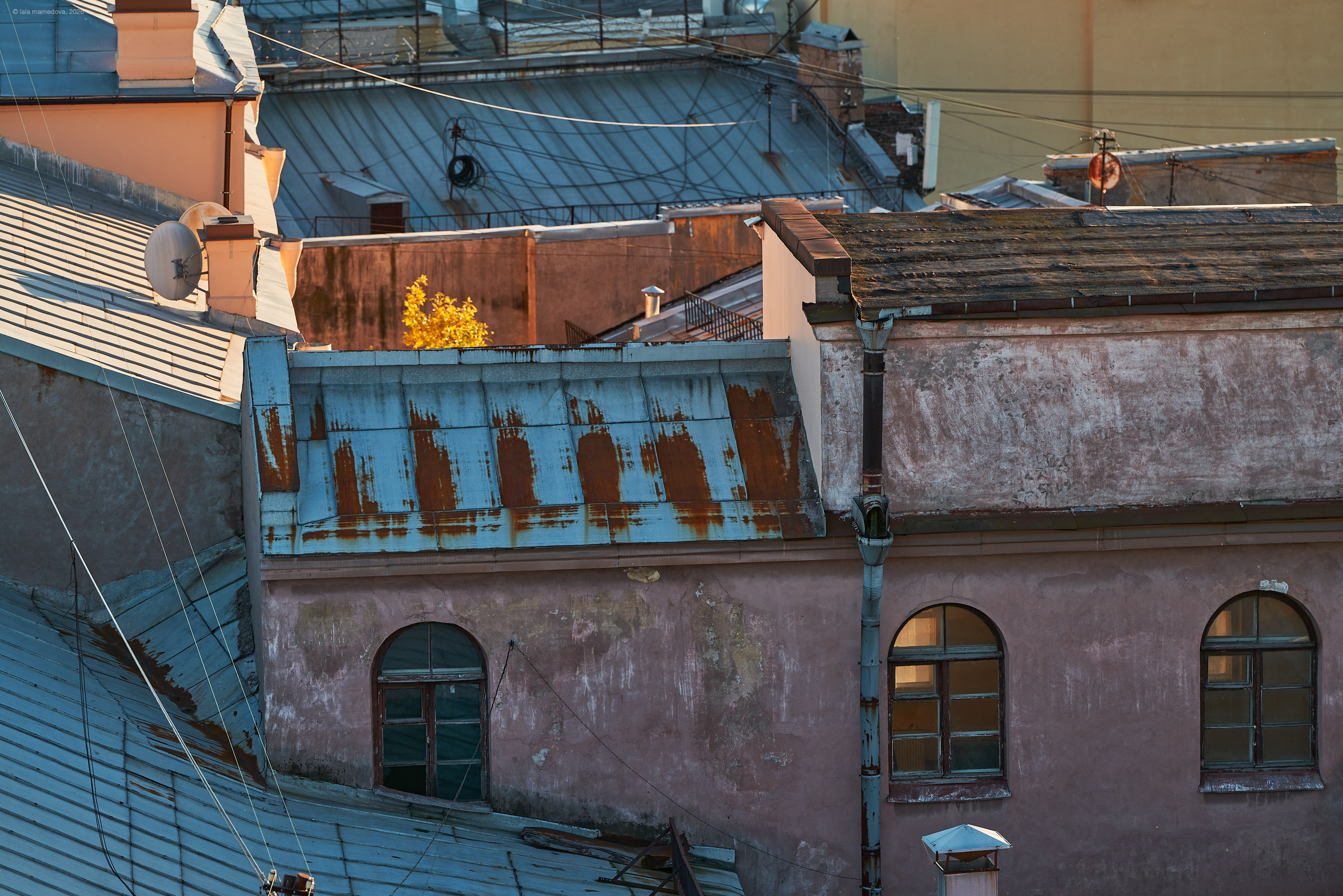 The view from the observation deck of the City Duma Tower | St. Petersburg. Фотограф