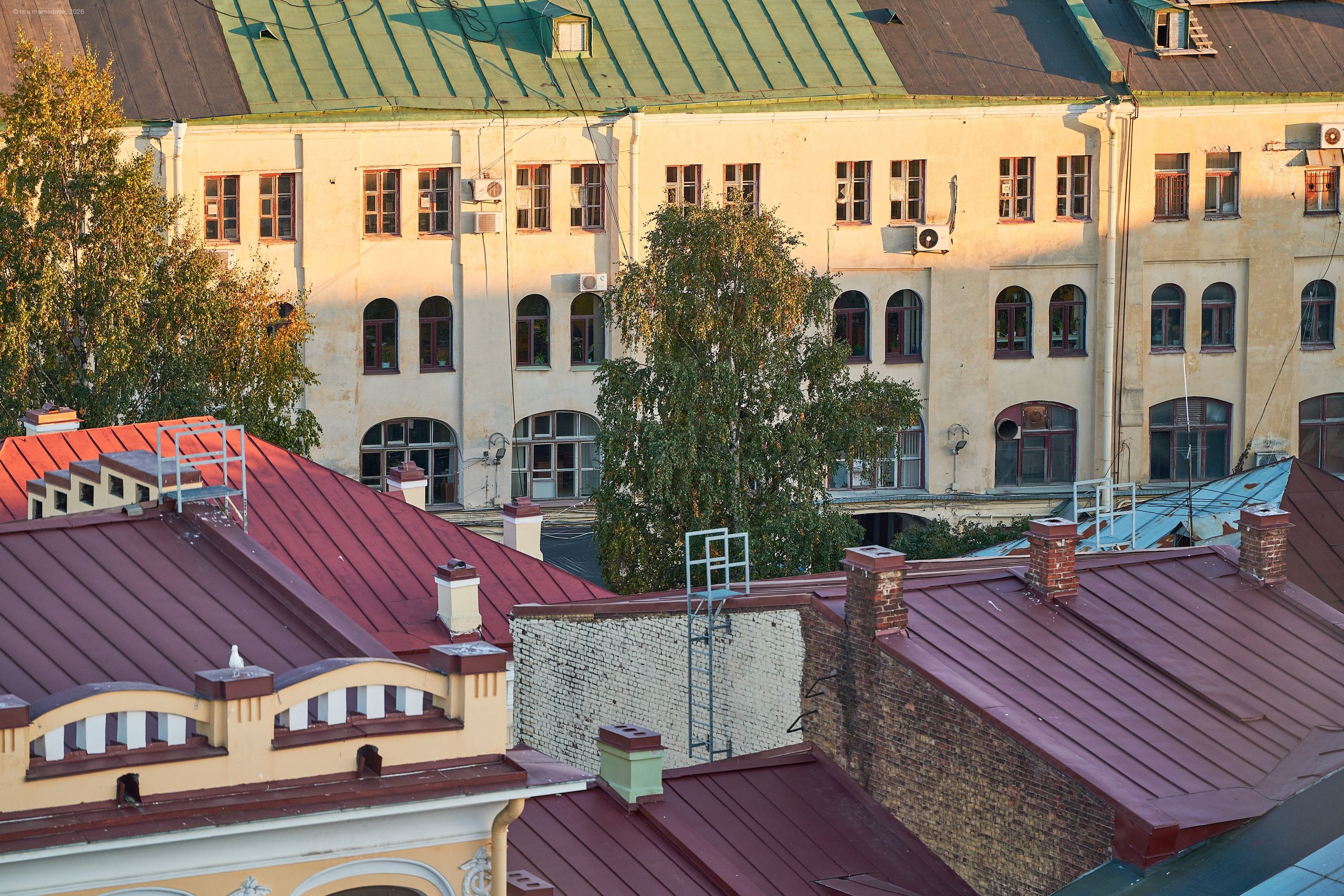 The view from the observation deck of the City Duma Tower | St. Petersburg. Фотограф