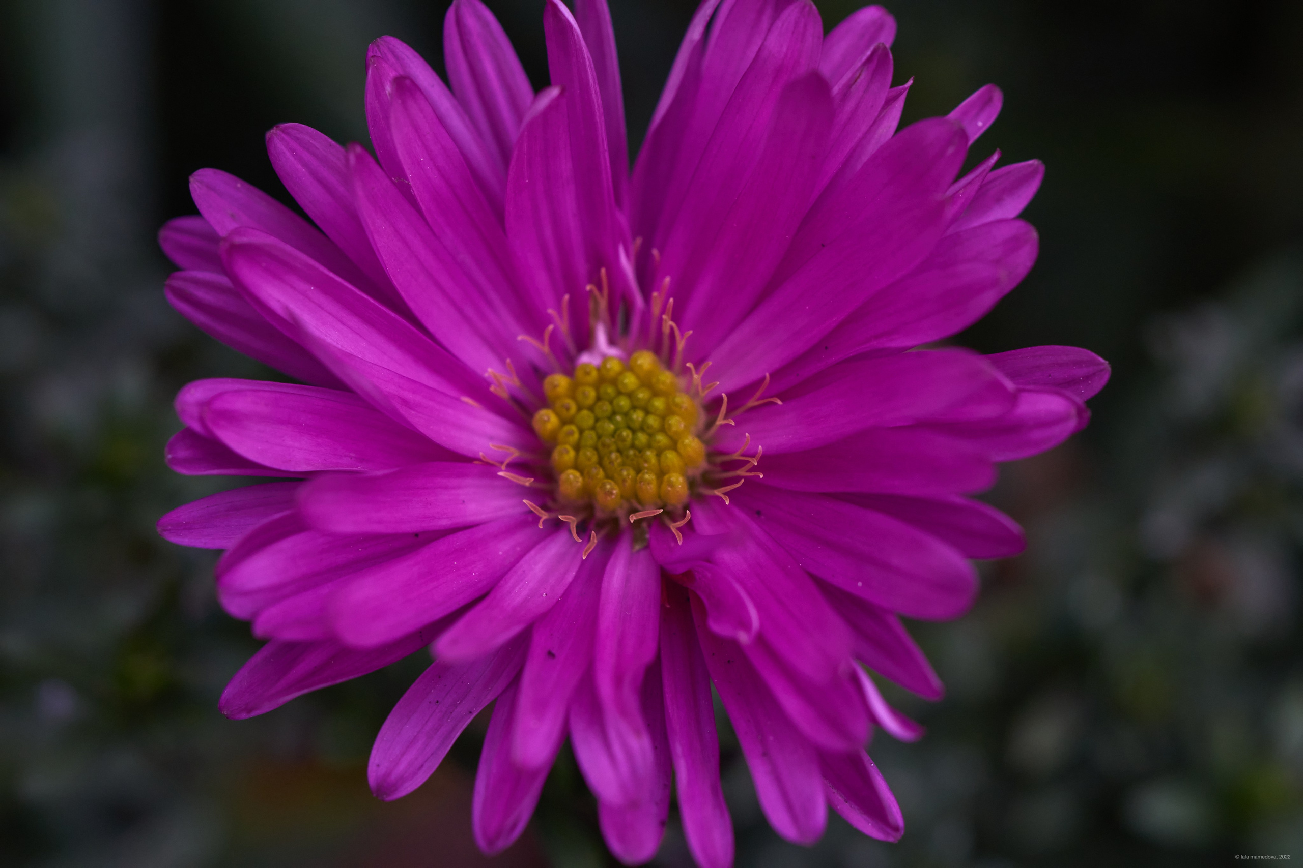 Природа