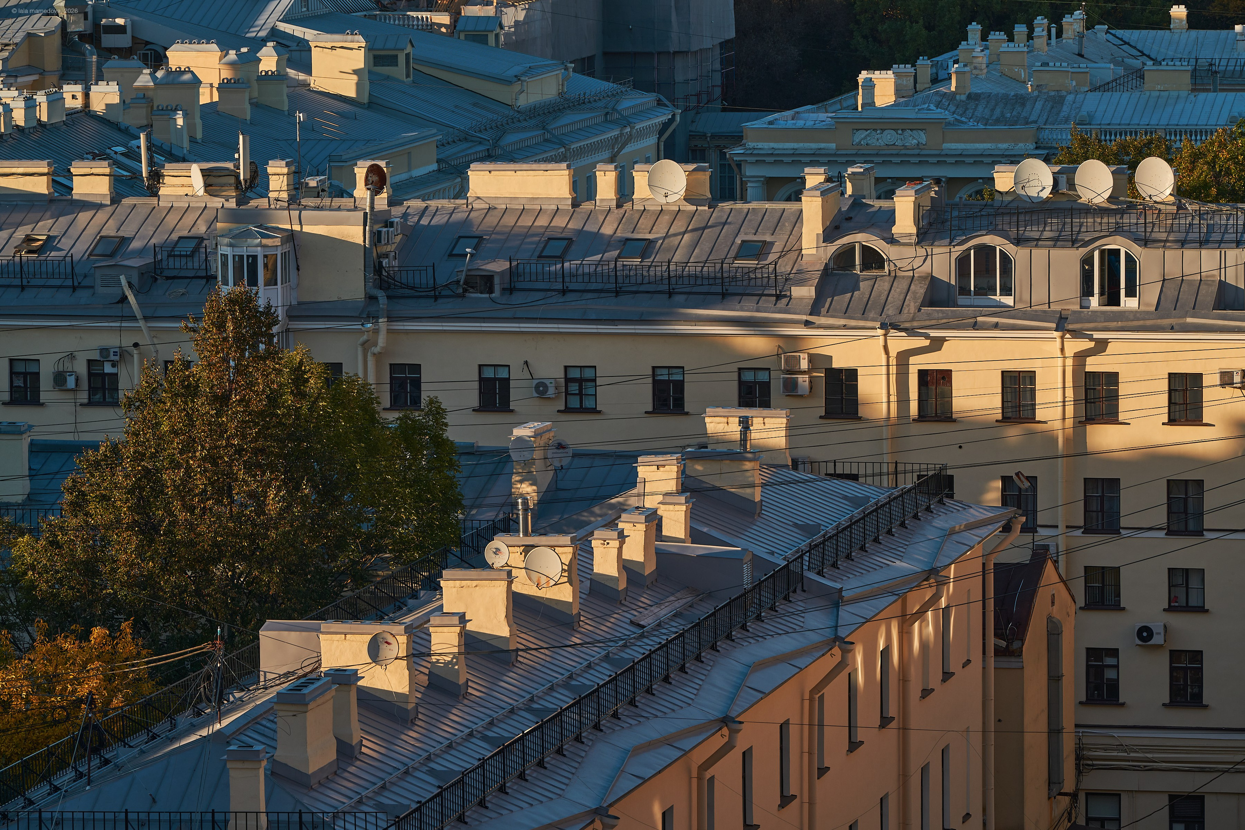The view from the observation deck of the City Duma Tower | St. Petersburg. Фотограф