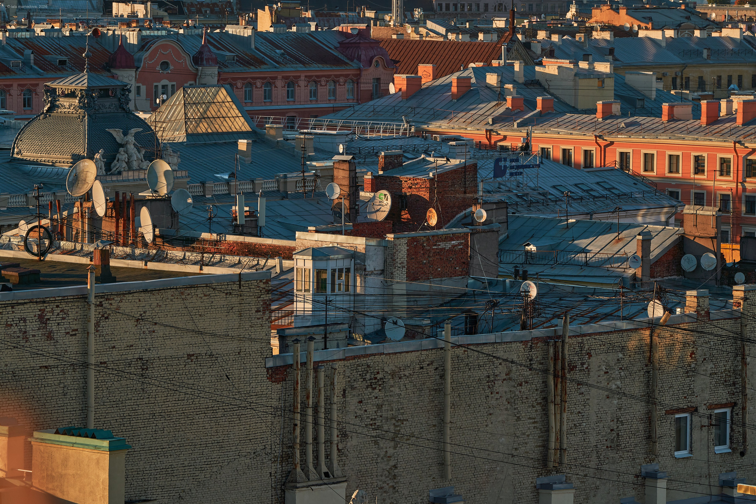 The view from the observation deck of the City Duma Tower | St. Petersburg. Фотограф