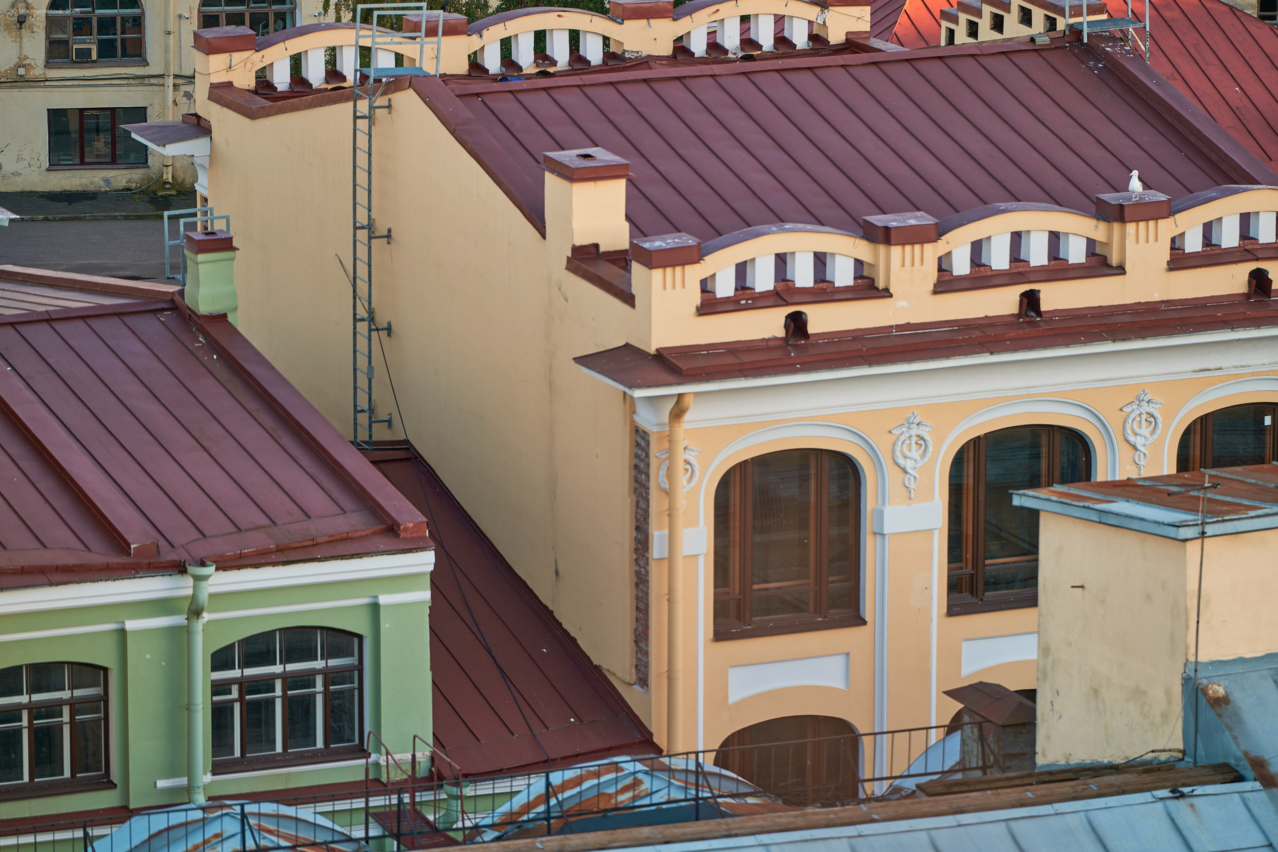 The view from the observation deck of the City Duma Tower | St. Petersburg. Фотограф