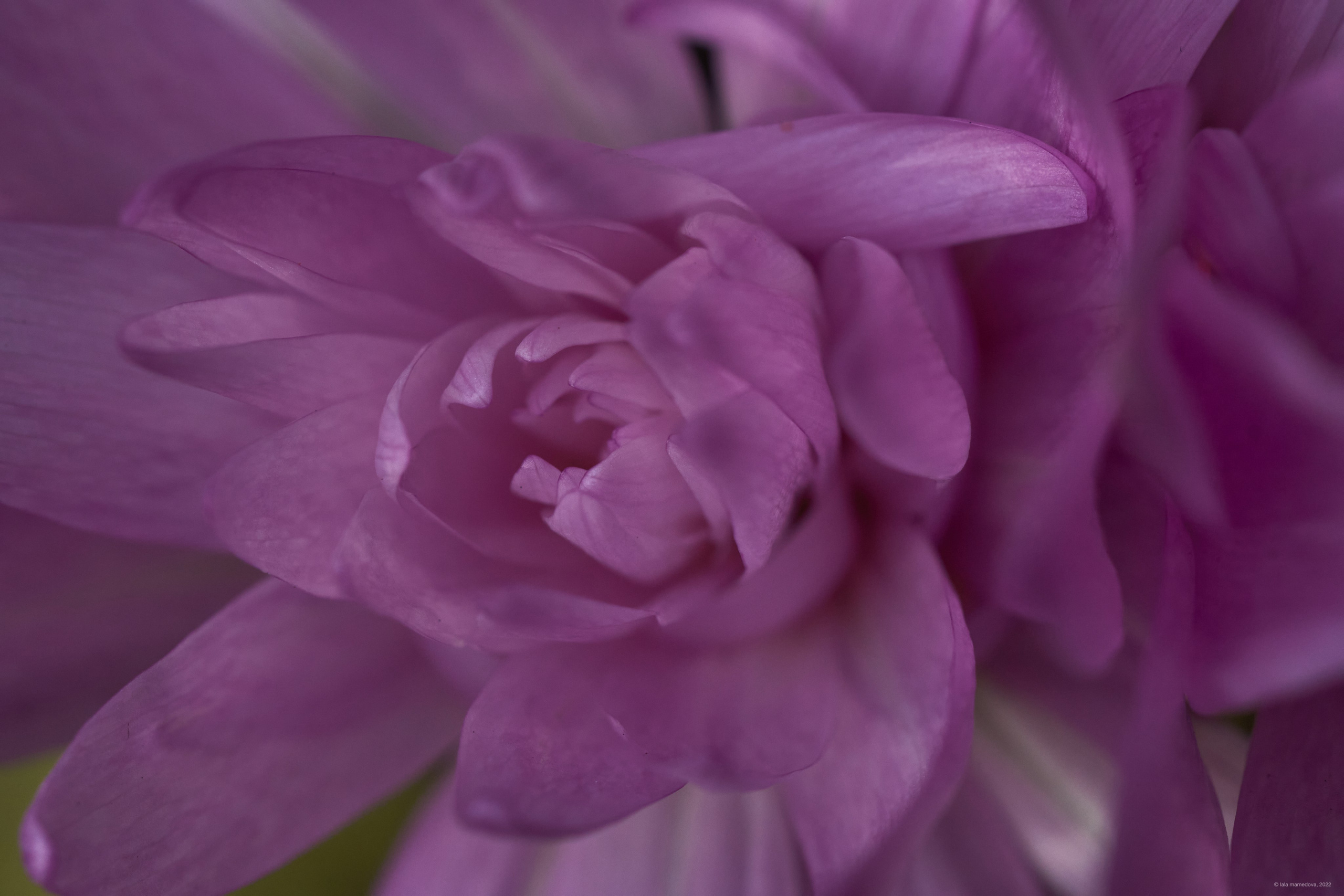 Природа