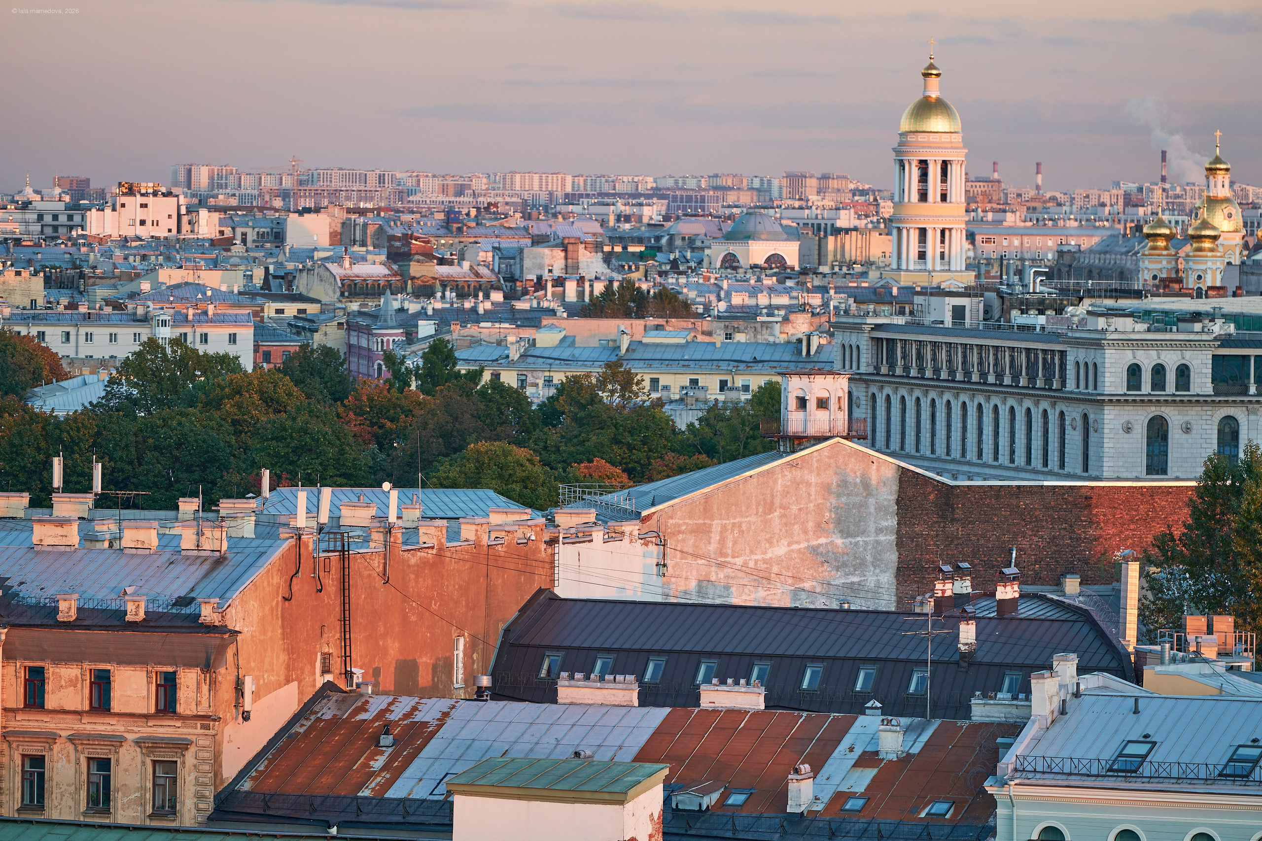 The view from the observation deck of the City Duma Tower | St. Petersburg. Фотограф