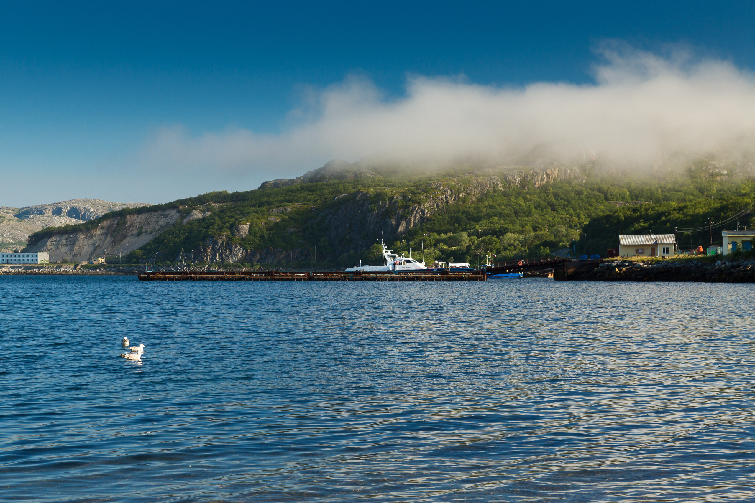 Печенга — край сосновой реки. Пейзажи Крайнего Севера. Баренцево море, Рыбачий, Средний, Немецкий