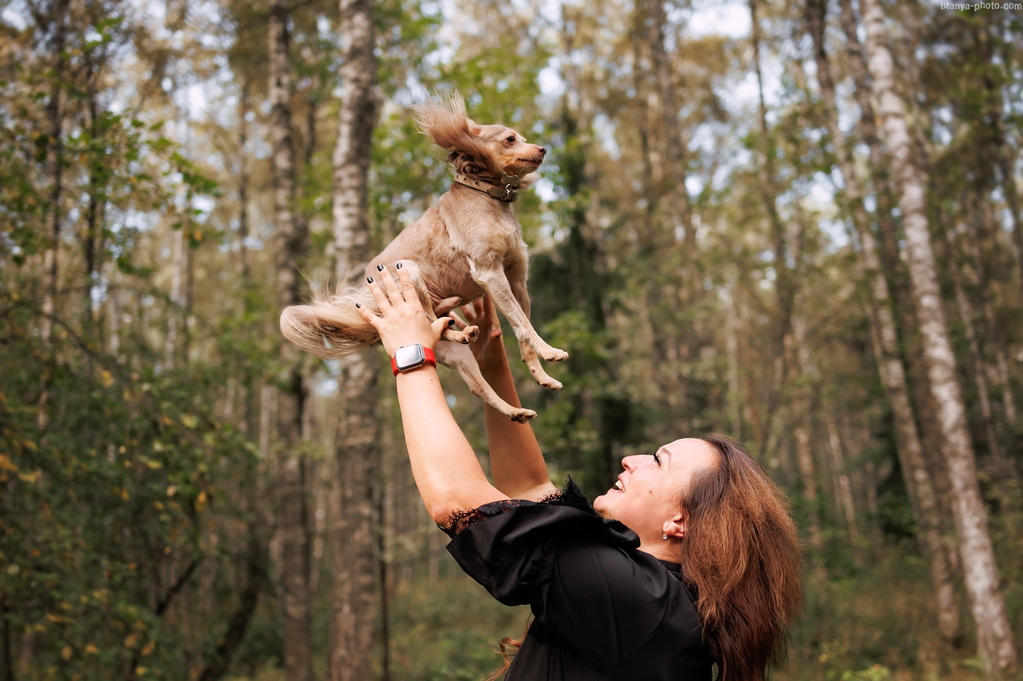 Нармина, Кураж и Тор. Фотограф собак, фотограф-анималист Аня Титова (Titanya). Москва