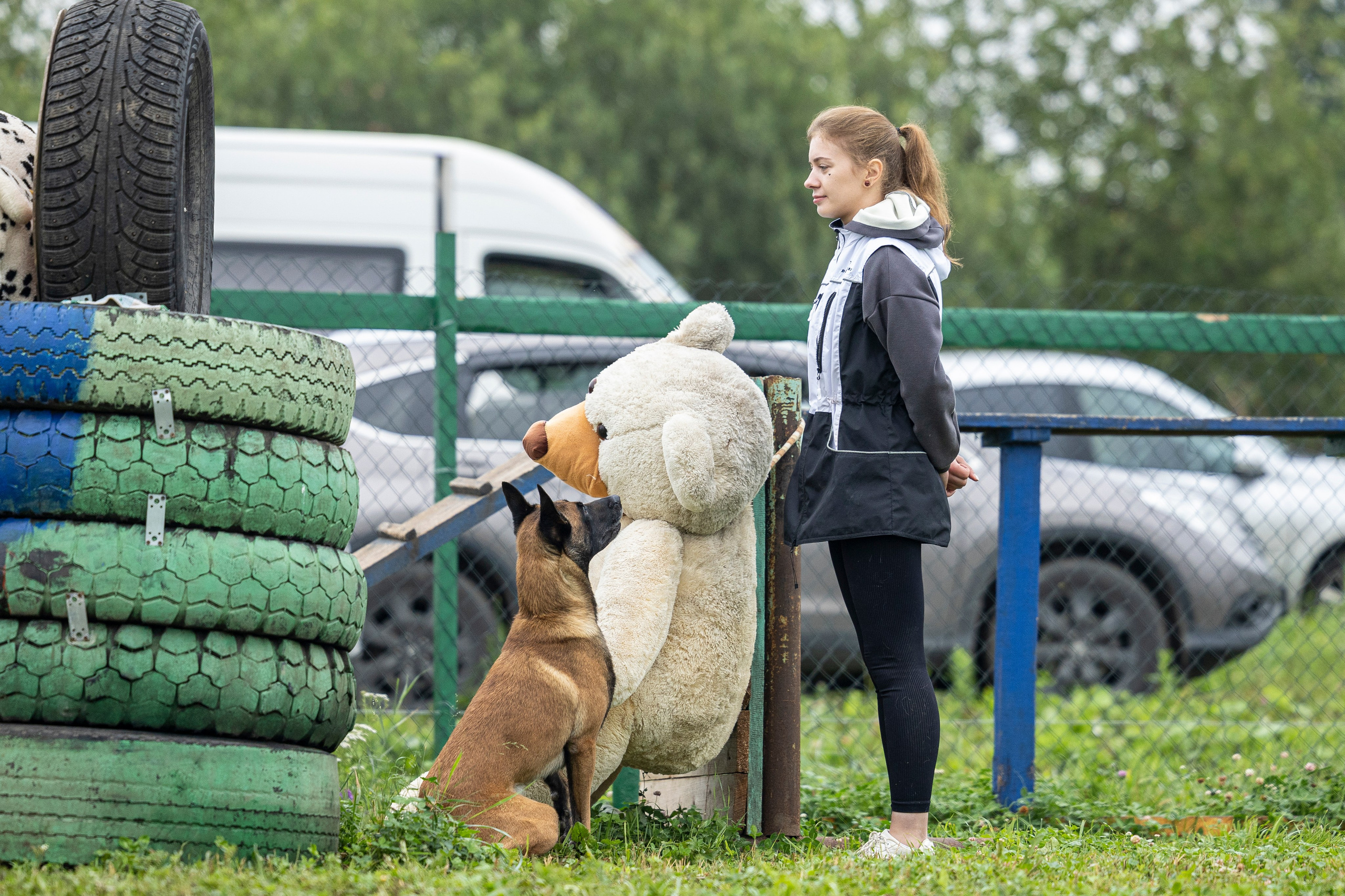 Соревнования по Мондьорингу г. Вологда 10-11.08.2024. Фотограф-анималист Анна Маринич