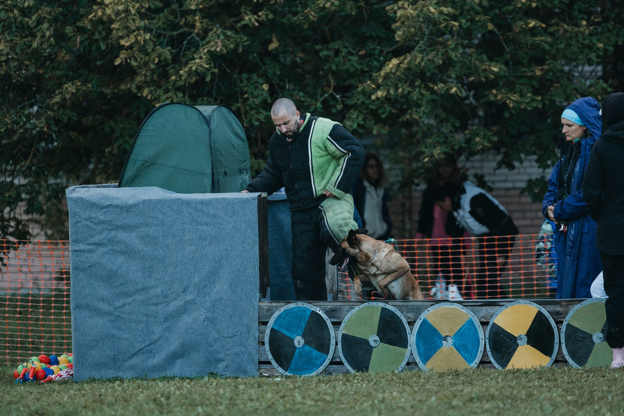 Испытания по мондьорингу г. Пушкин 29.09.2024. Фотограф-анималист Анна Маринич