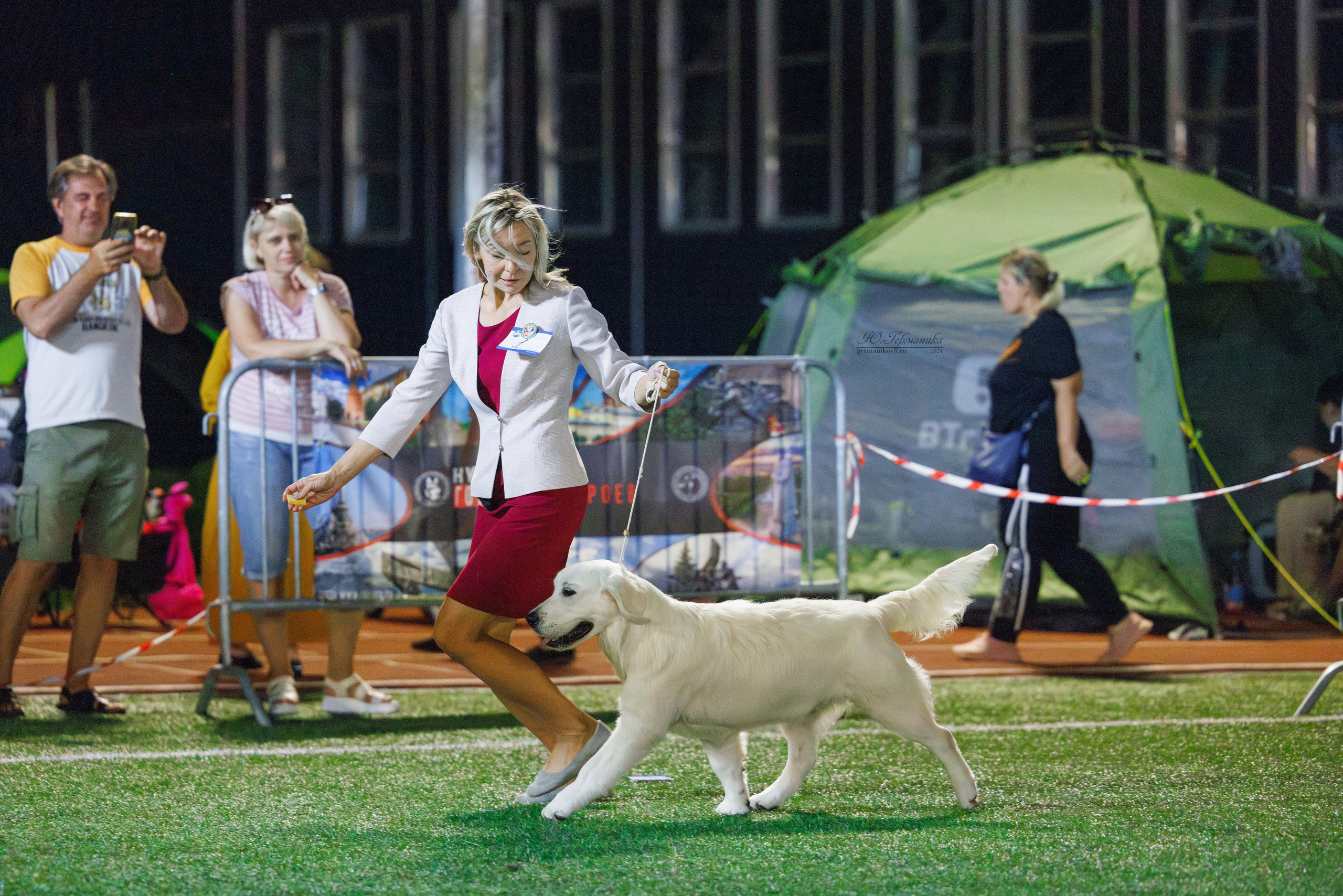 Волгоград 2-4.08.2024. Фотограф-анималист Юлия Германика