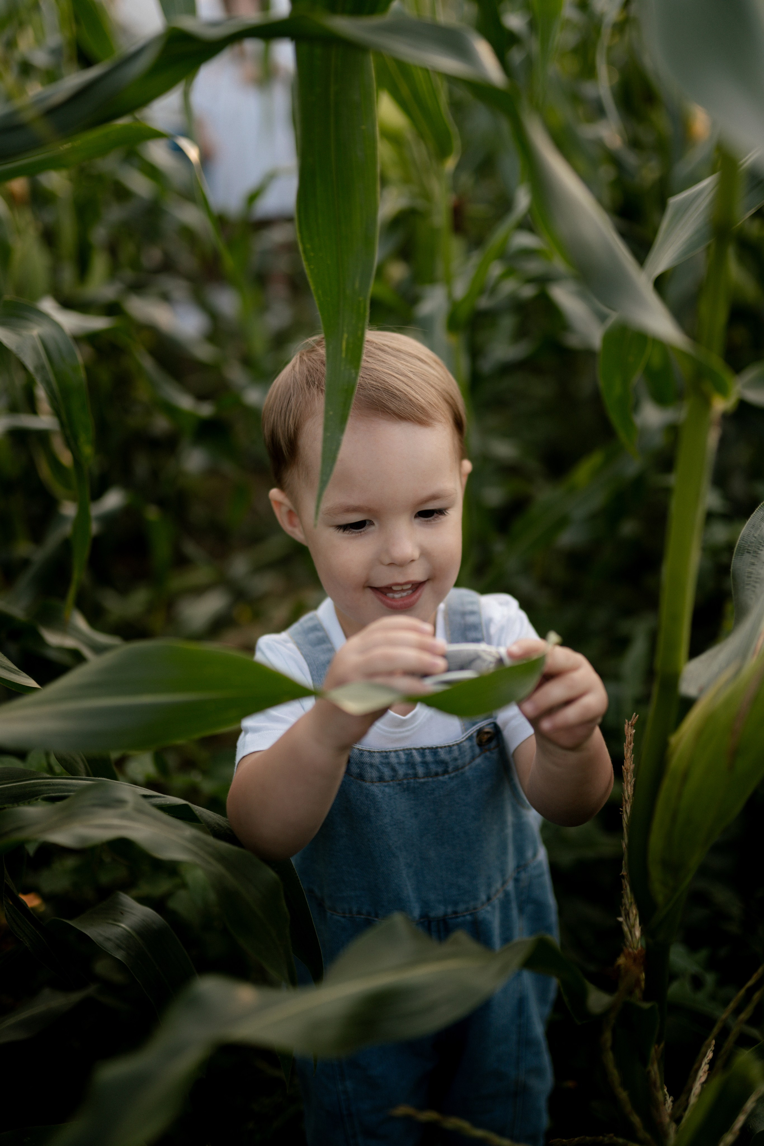 Леша, Алина и Вова. Семейный и свадебный фотограф в Москве и Калуге Рослова Анастасия