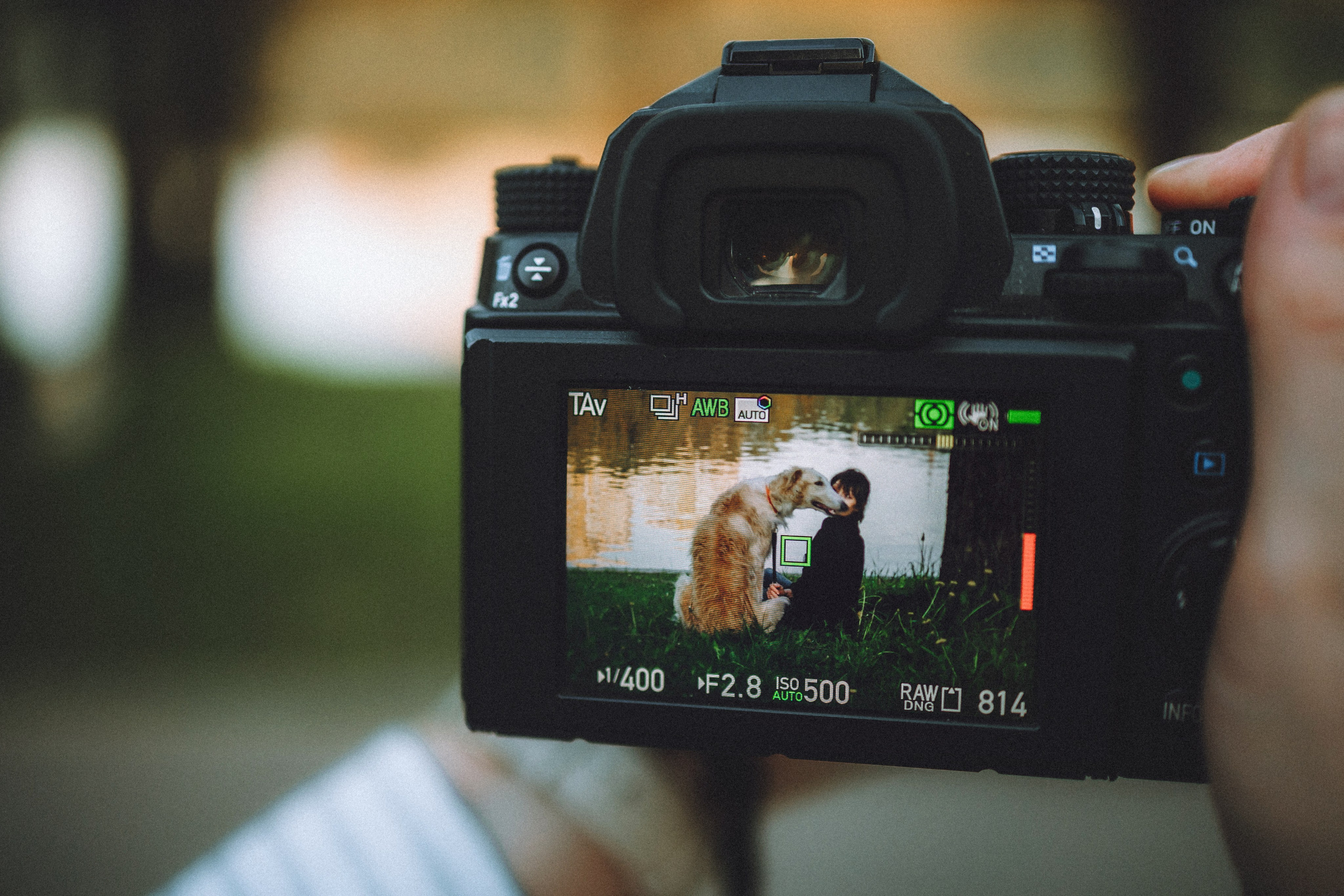 Илай, Зайка и их семья