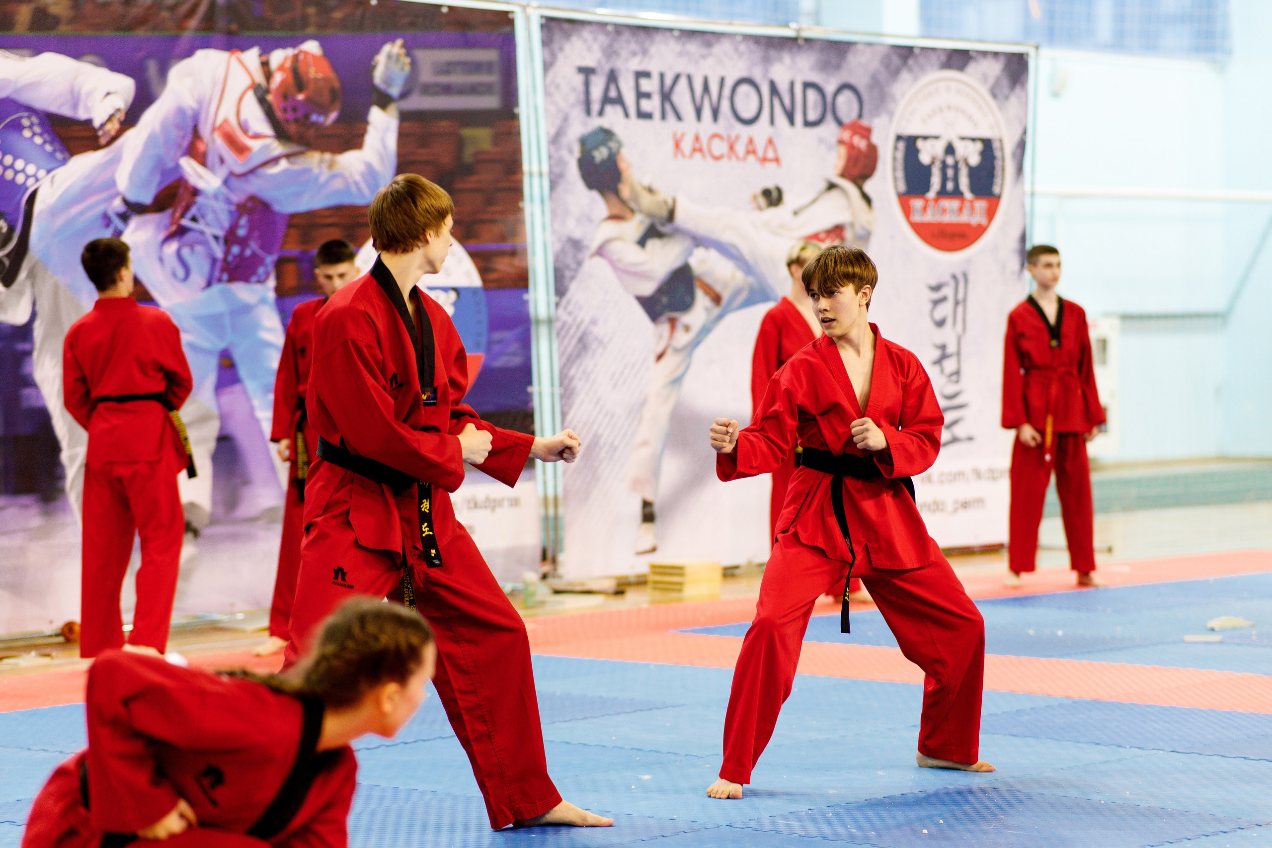 Тхэквондо СК «Каскад». Фотограф Дмитрий Молчанов | Фотограф Пермь | Фотограф