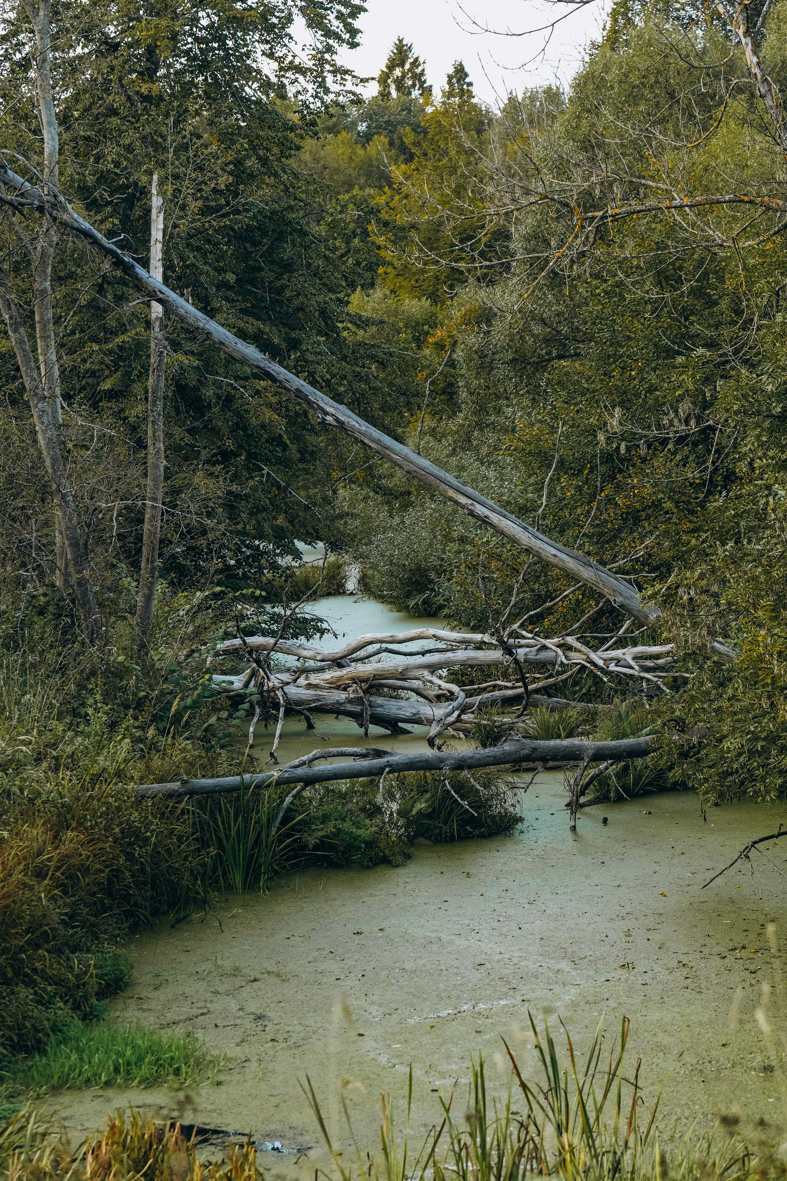 СЕВЕР. Event фотограф Степанова Александра