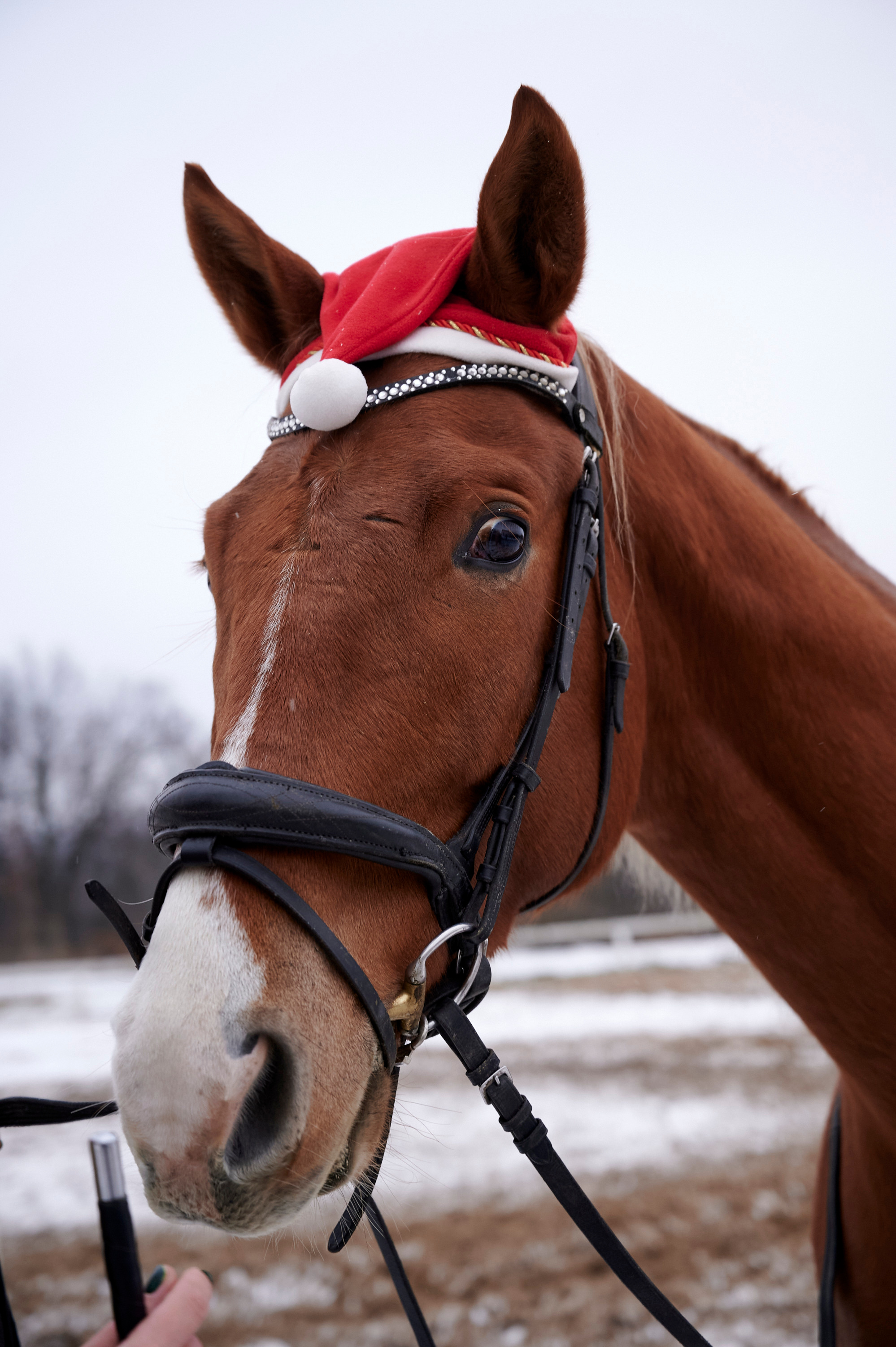 Новогодняя Ильинка photo + video. Профессиональный репортажный фотограф в Самаре Никита Королев