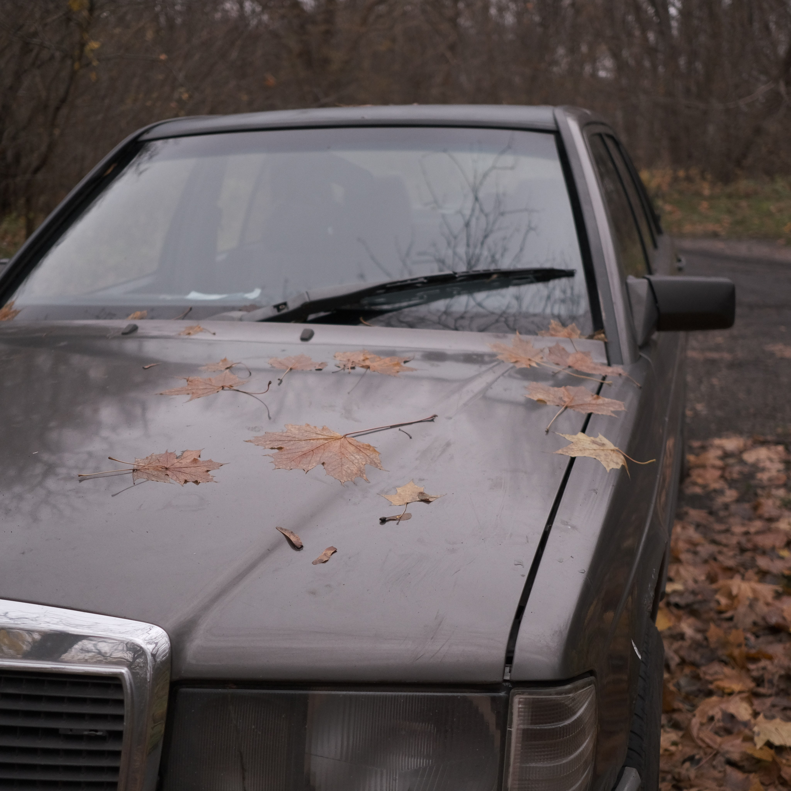 Калининград. LIYALEE PHOTO