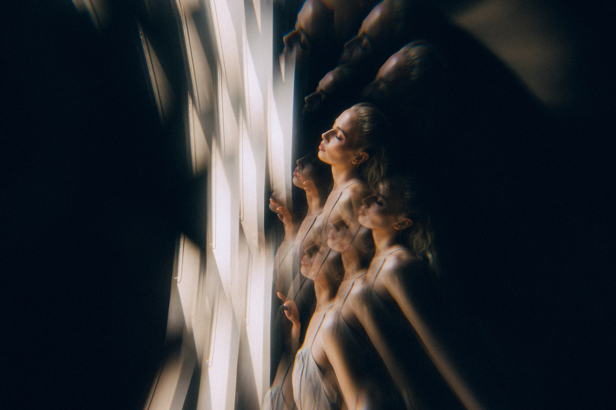 Dandelions. Daria Chigintseva Photographer