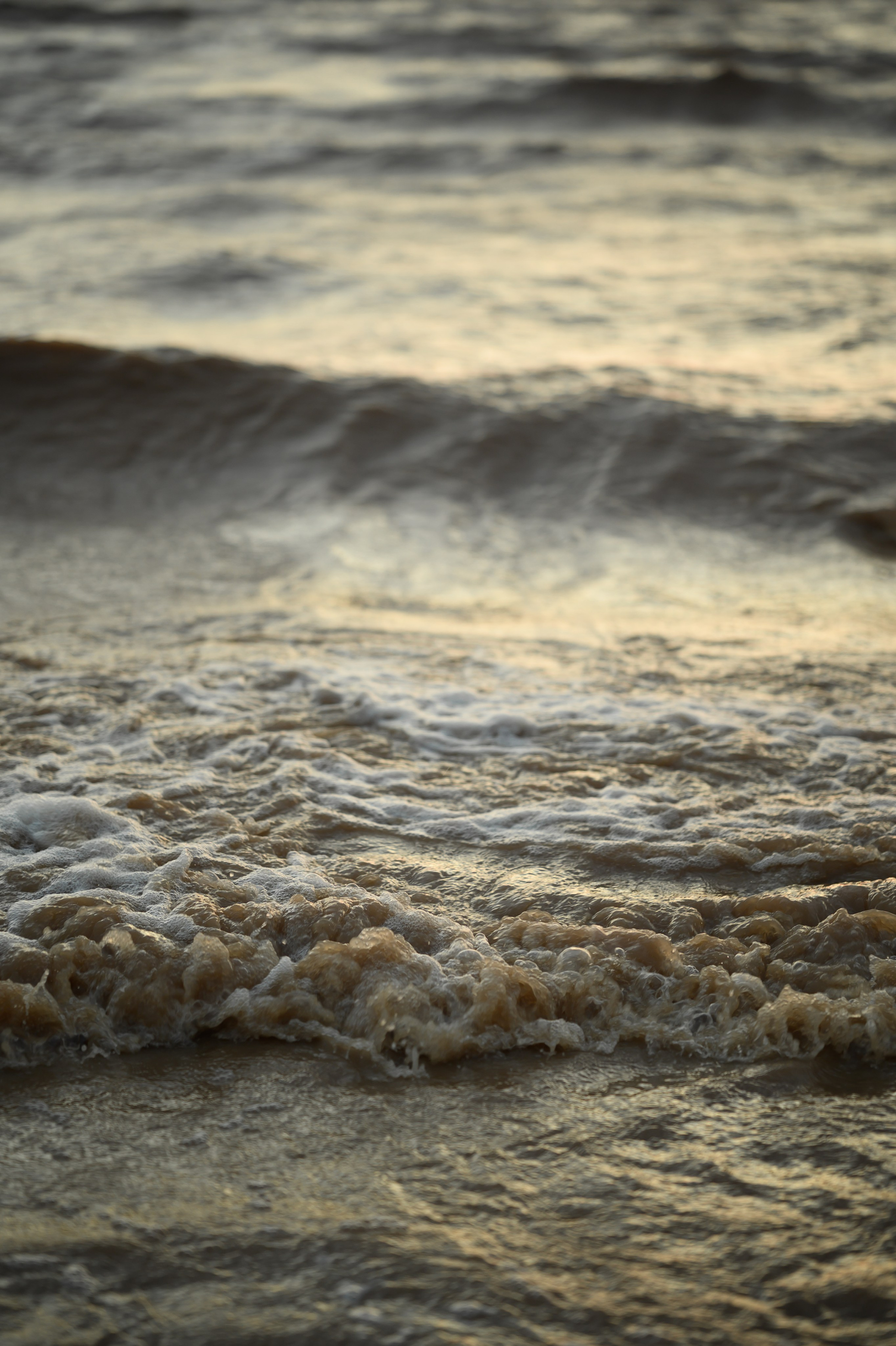 Наташа, Степа, Василиса, Лера. Www.ostermiller.ru