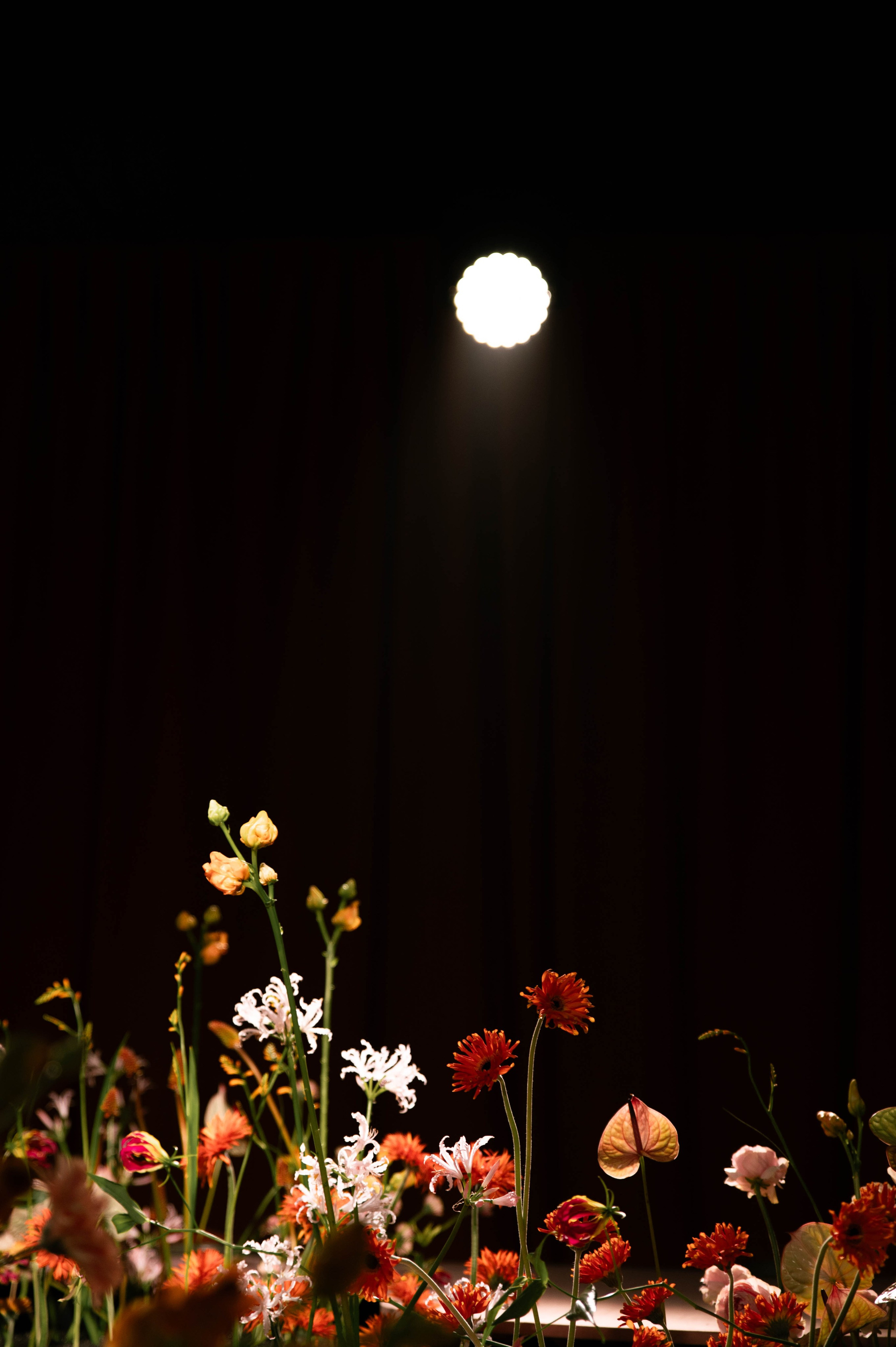 Серии. Свадебный и портретный фотограф в Санкт-Петербурге Юлия Елесина