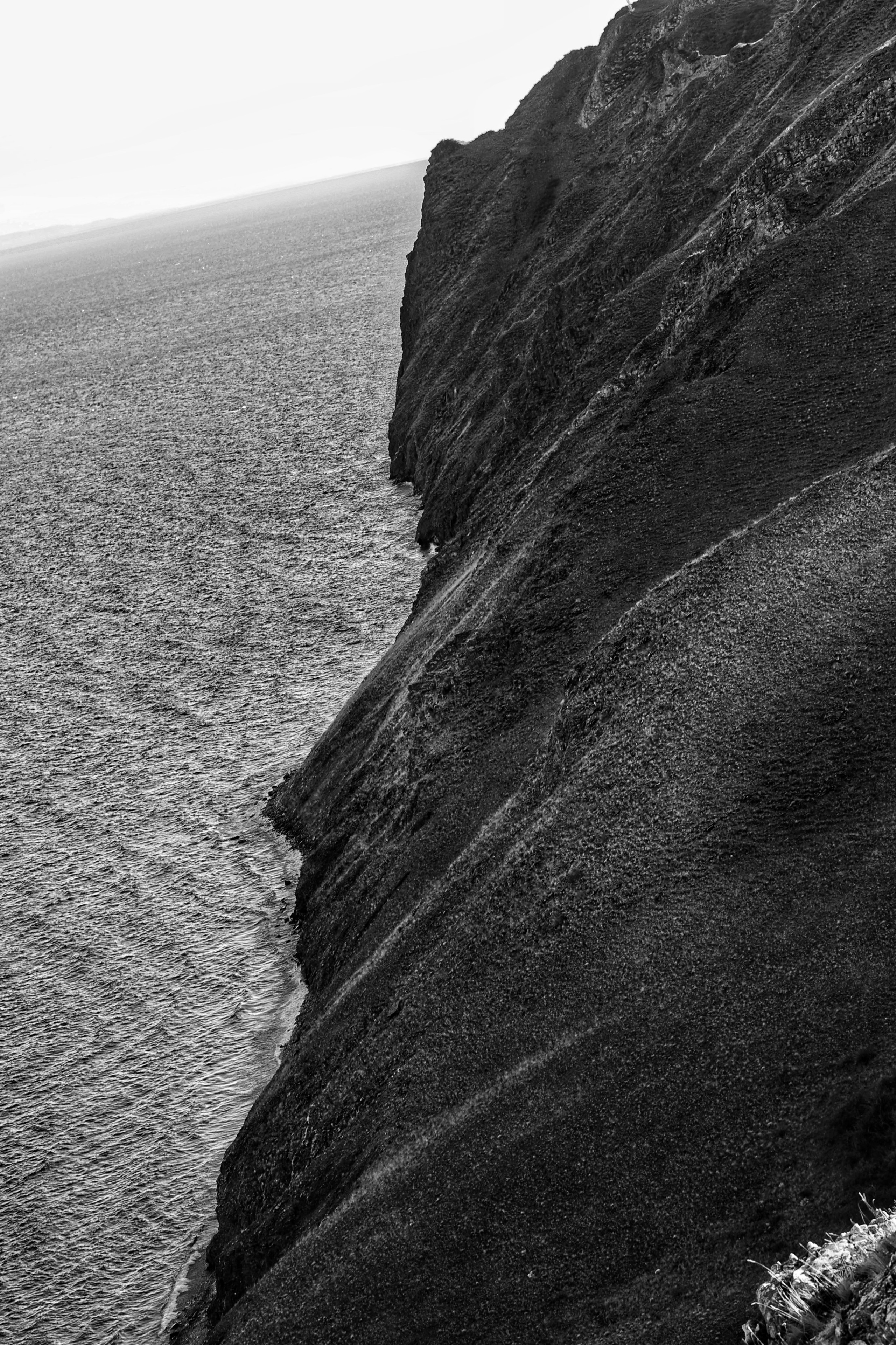 2024. Тащилин Сергей. Фотографии. Жизнь. Хобби