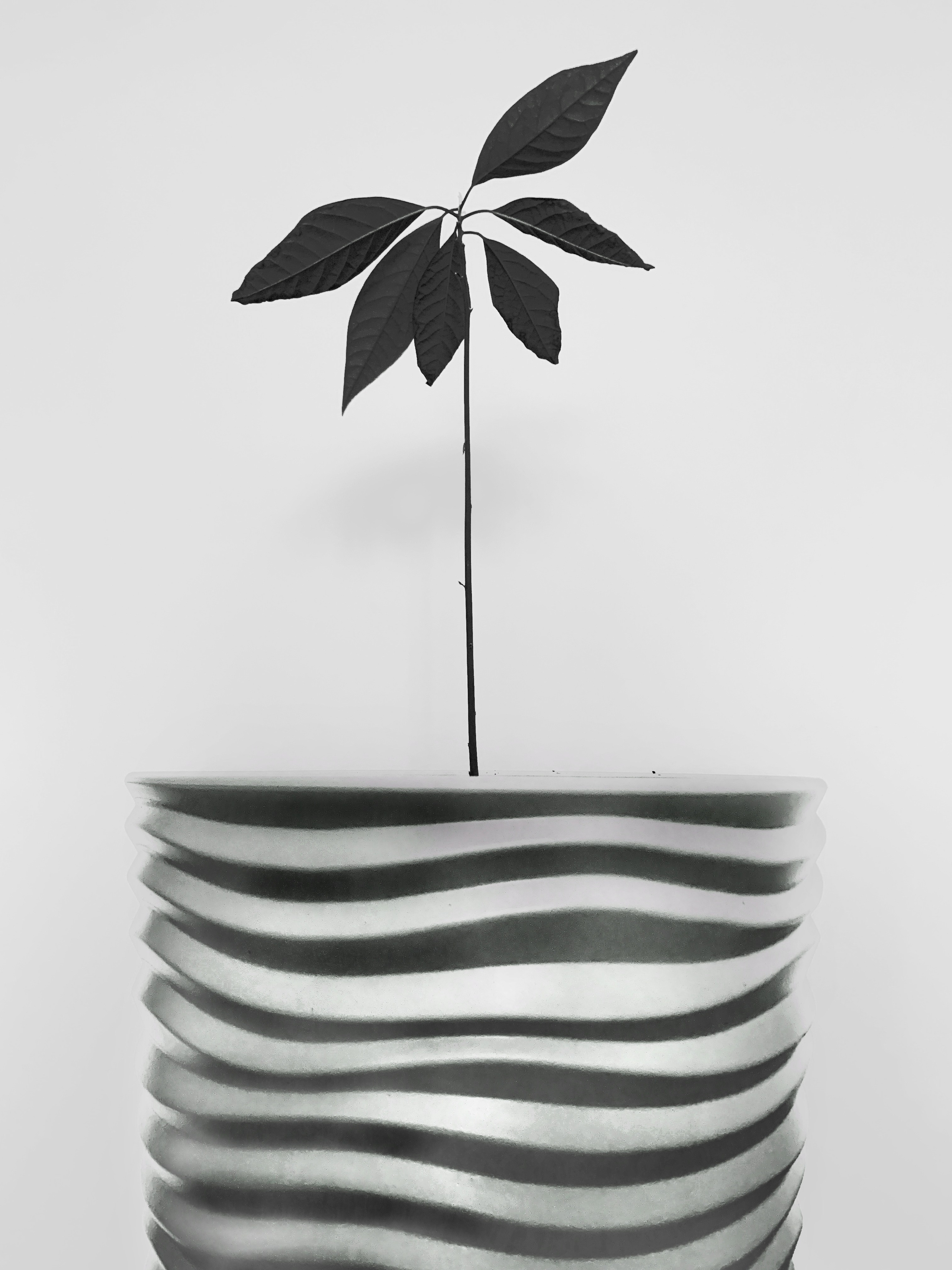 2022. Тащилин Сергей. Фотографии. Жизнь. Хобби