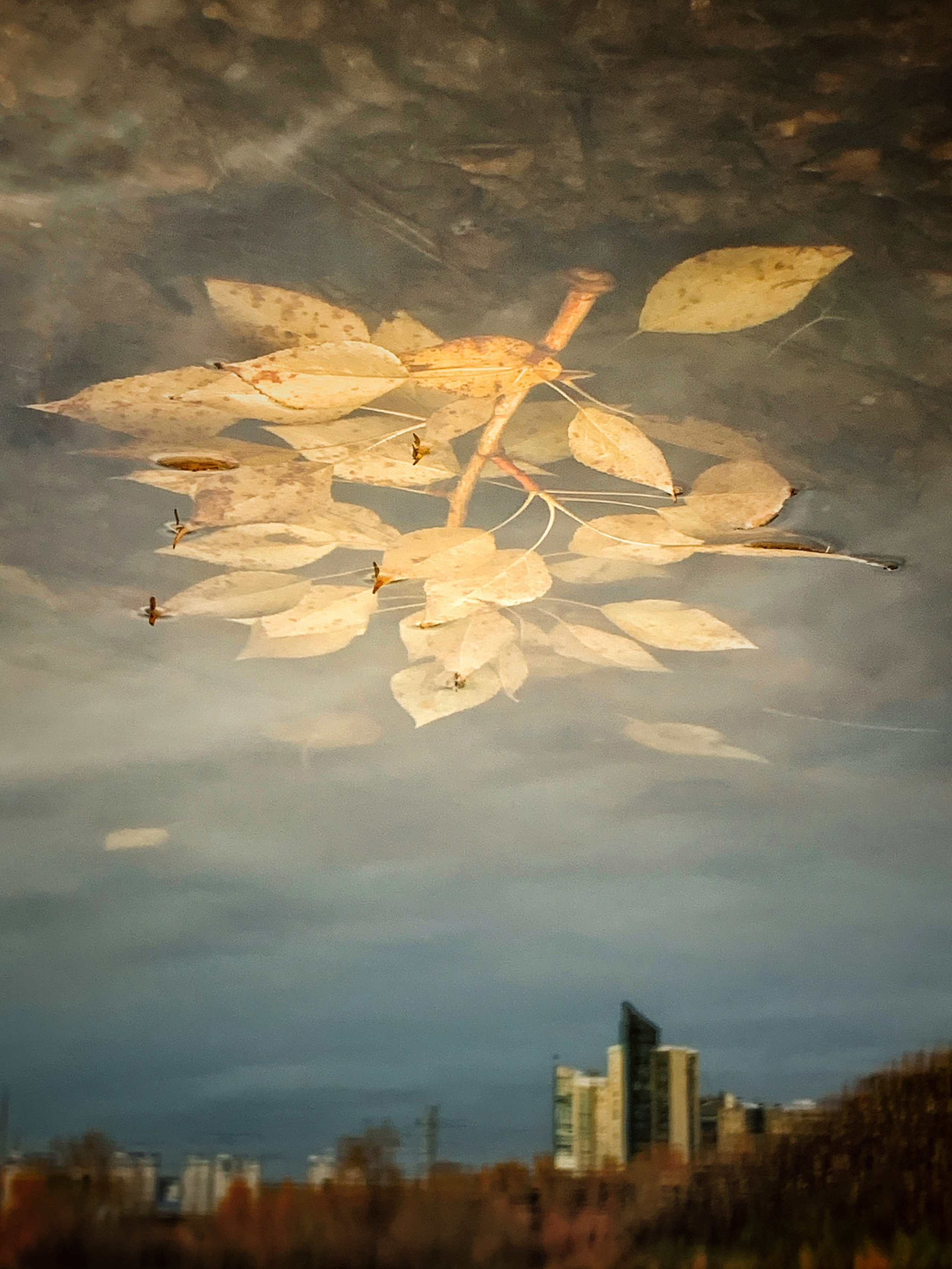 2022. Тащилин Сергей. Фотографии. Жизнь. Хобби