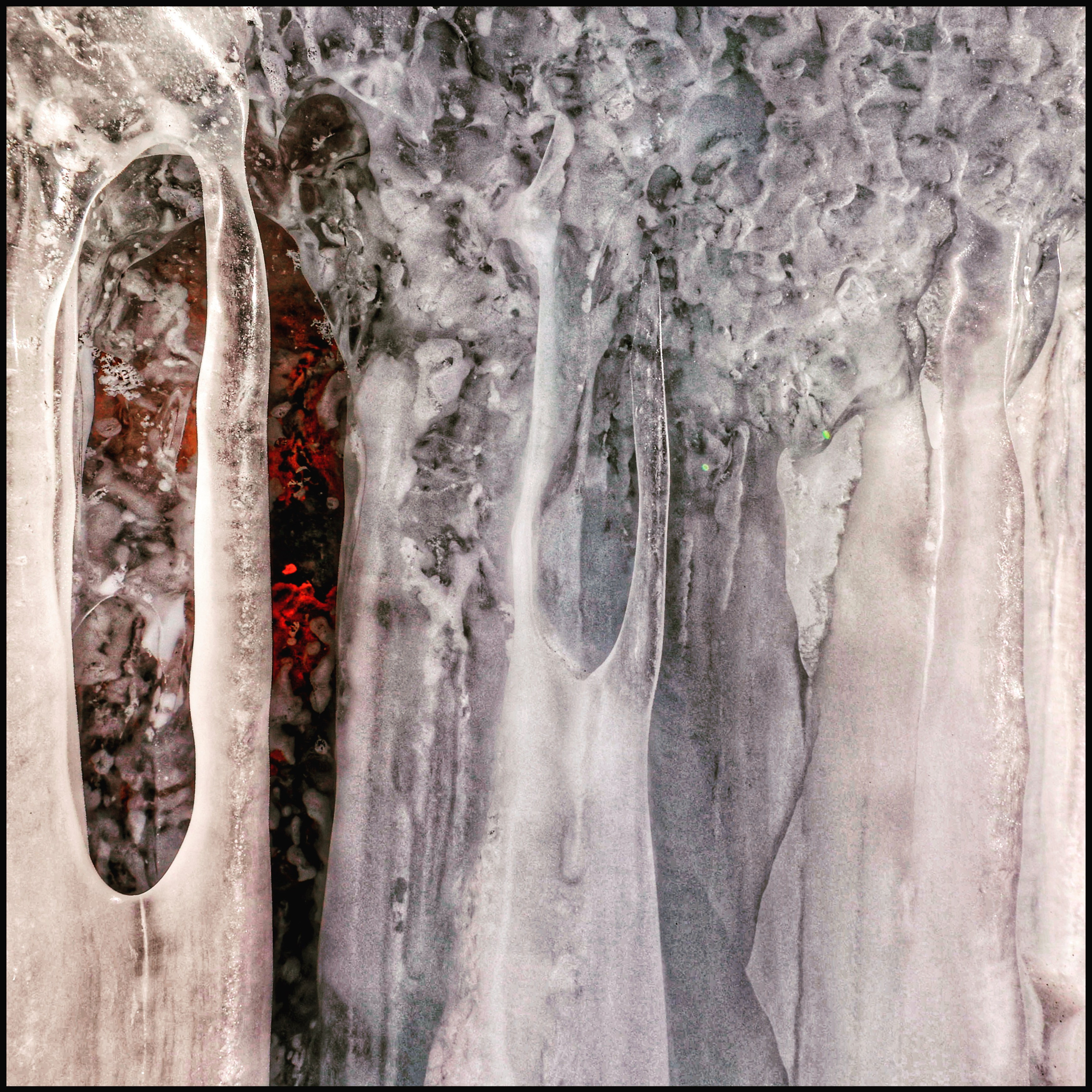 2024. Тащилин Сергей. Фотографии. Жизнь. Хобби