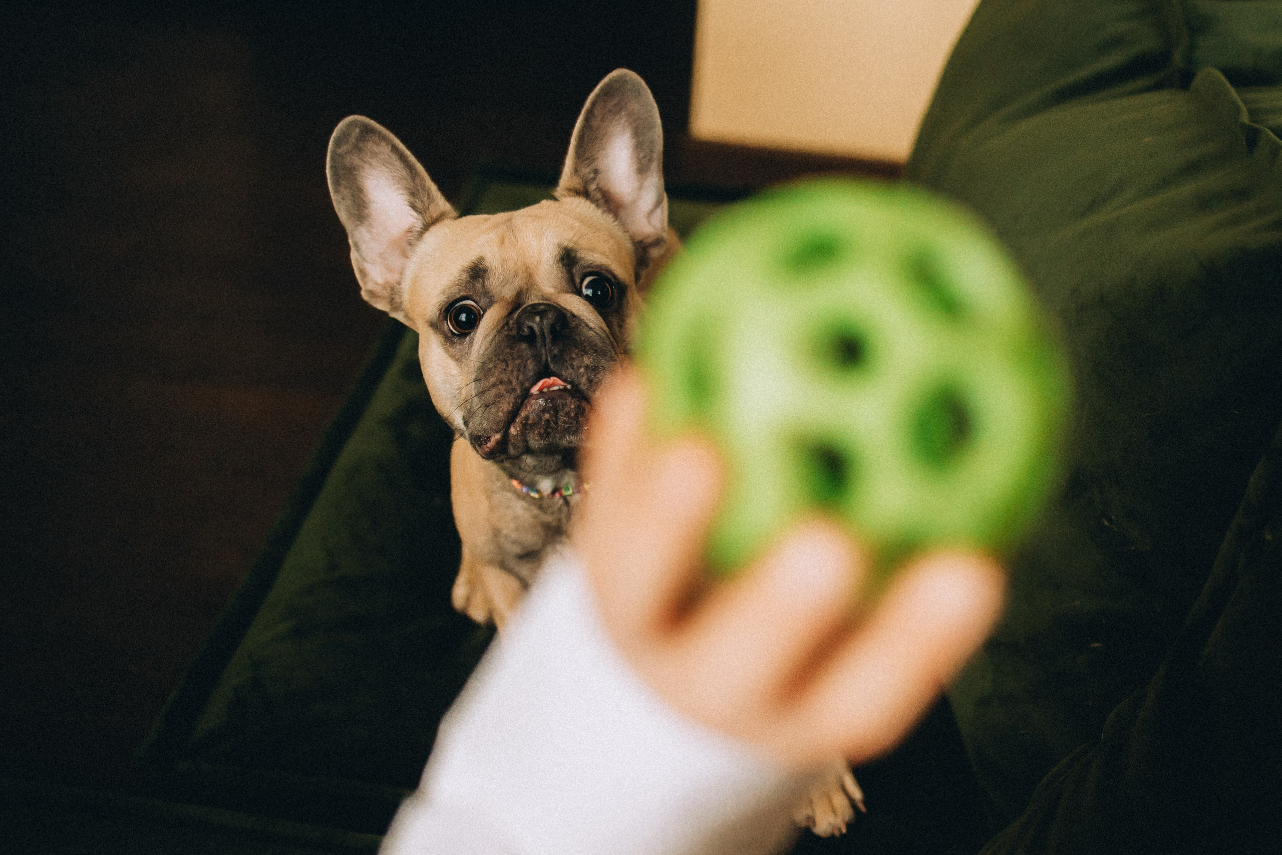 Юля, Мия и Зек