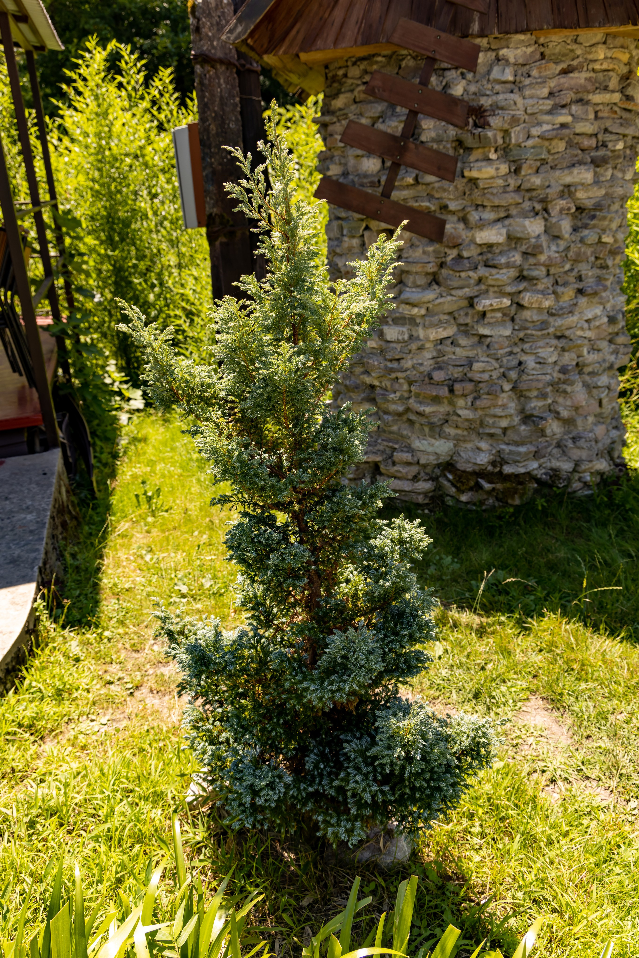 Сочи. Солох Аул. Репортажный, семейный и студийный фотограф в Москве Демин Алексей