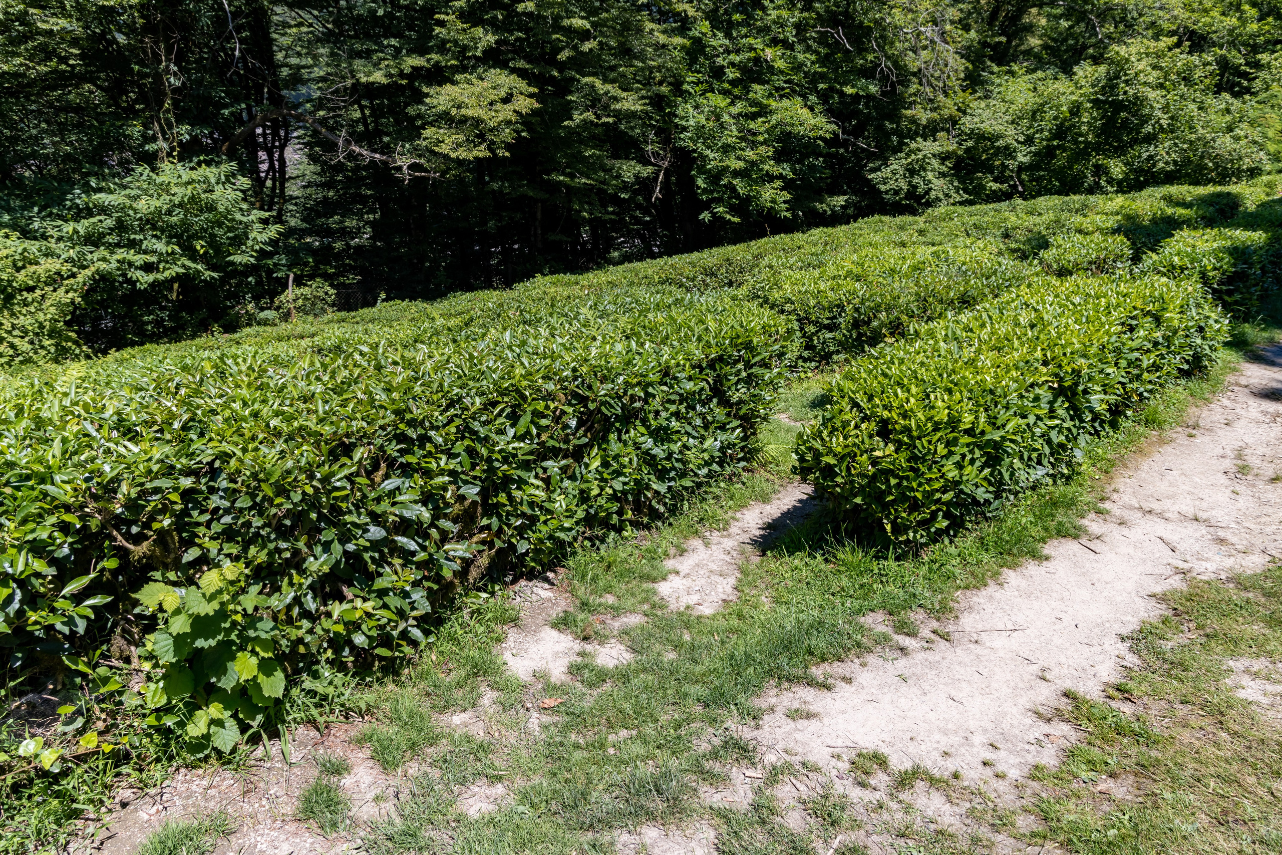 Сочи. Солох Аул. Репортажный, семейный и студийный фотограф в Москве Демин Алексей