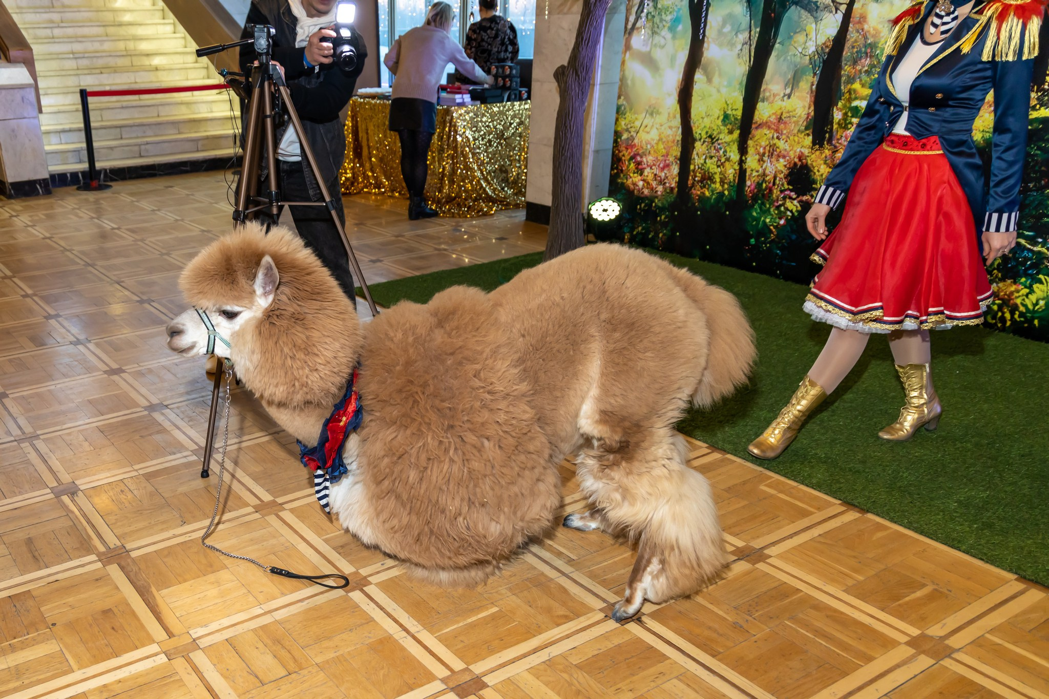 Премьера нового сенсационного рок-симфонического мюзикла «Замок забытых историй». Репортажный, семейный и студийный фотограф в Москве Демин Алексей