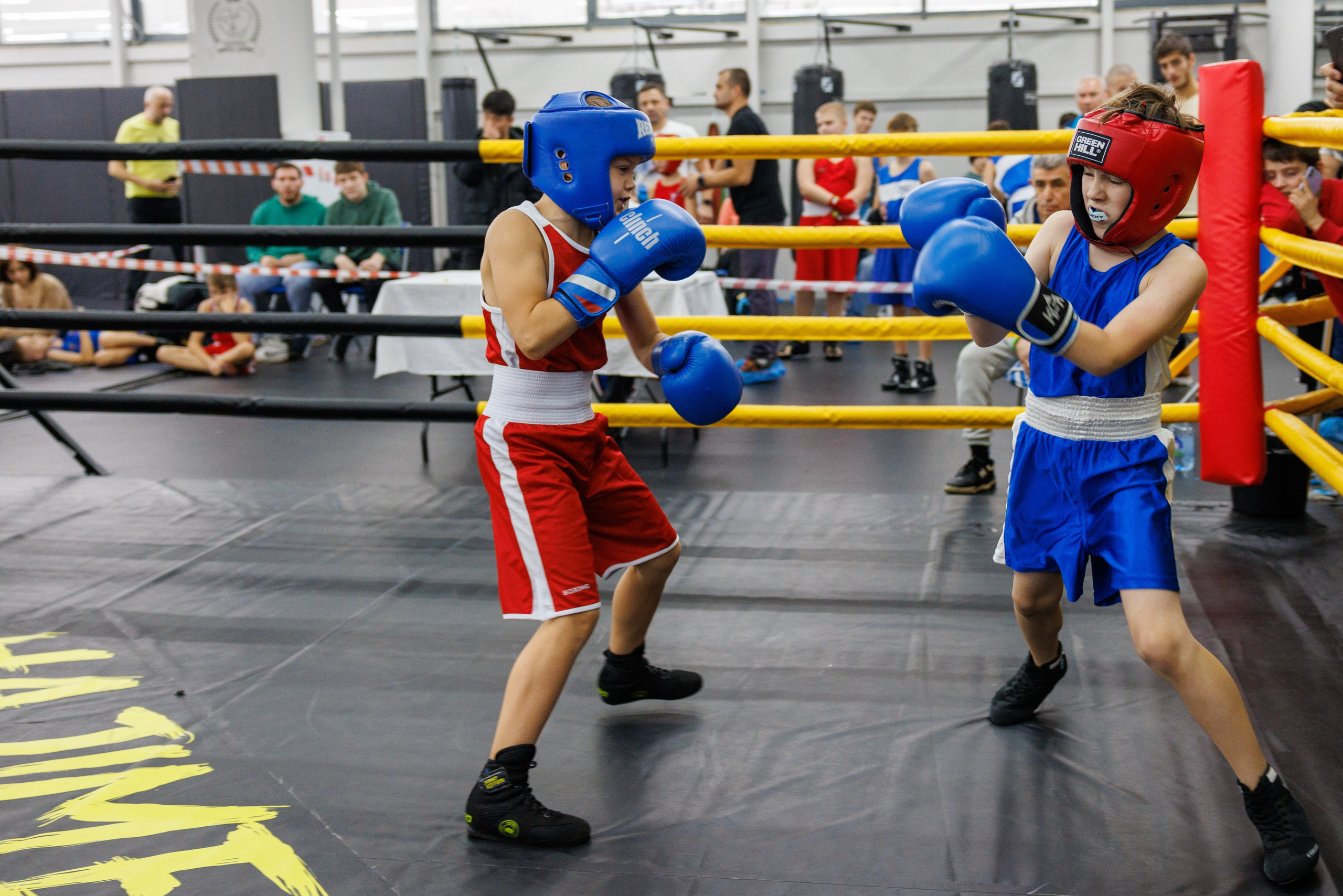 Открытый ринг «кубок ООО «ТЭК НеваСпецТяж». Фотограф Александр Заломаев